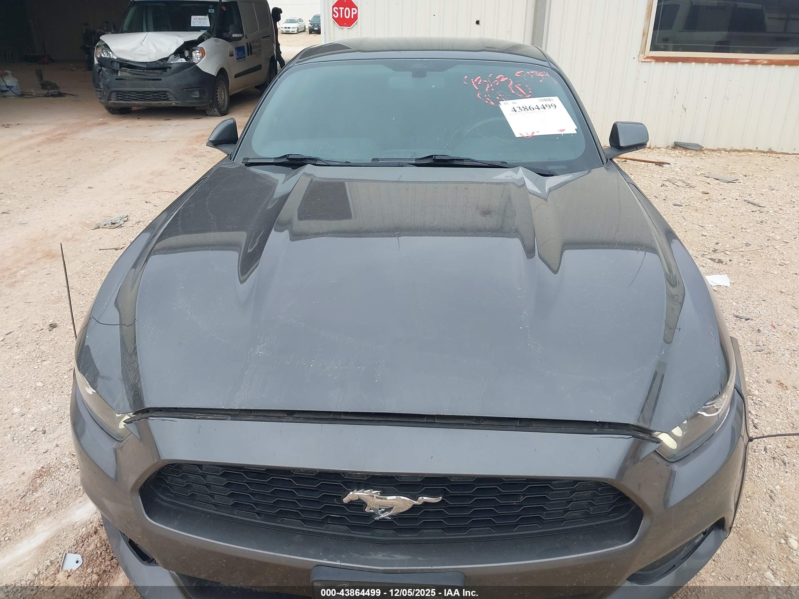 FORD MUSTANG image 10