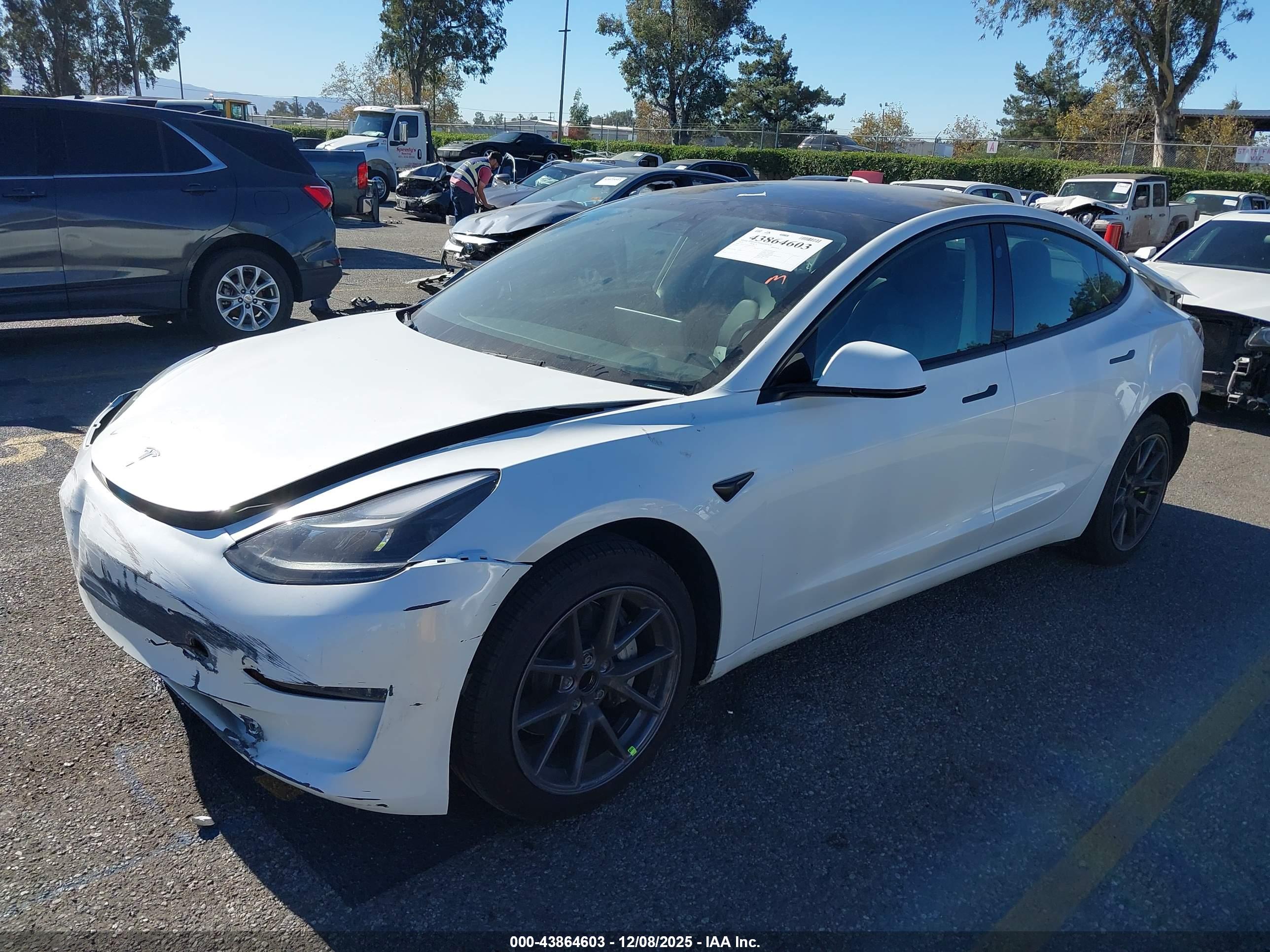 TESLA MODEL image 2