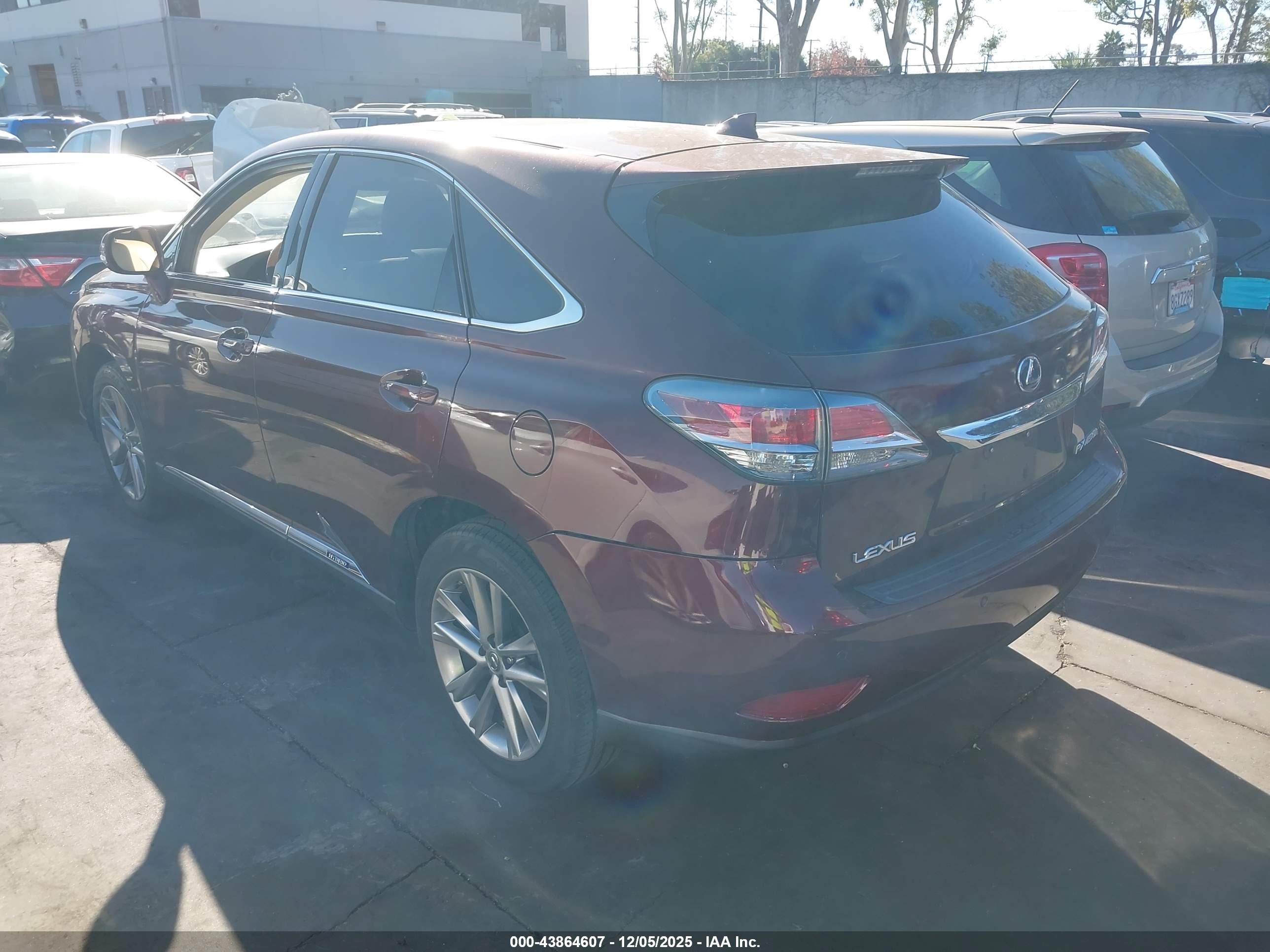 LEXUS RX image 3