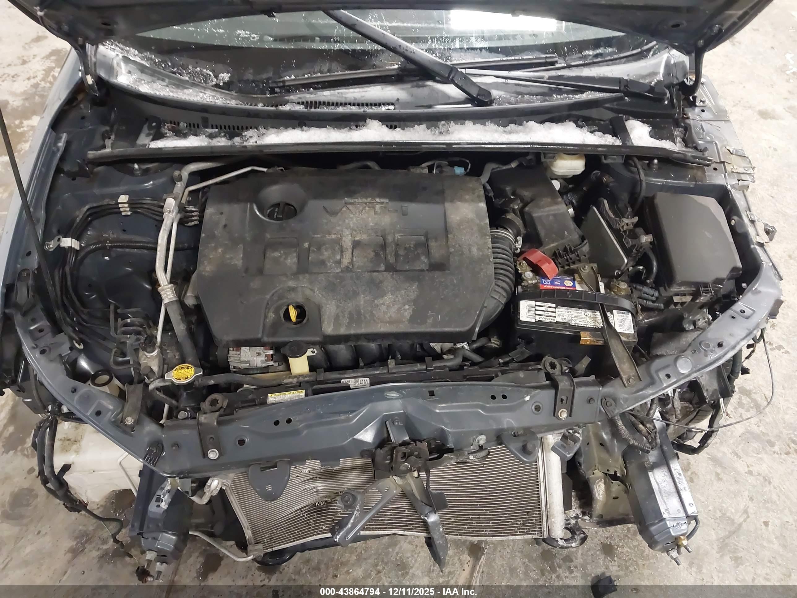 TOYOTA COROLLA image 10