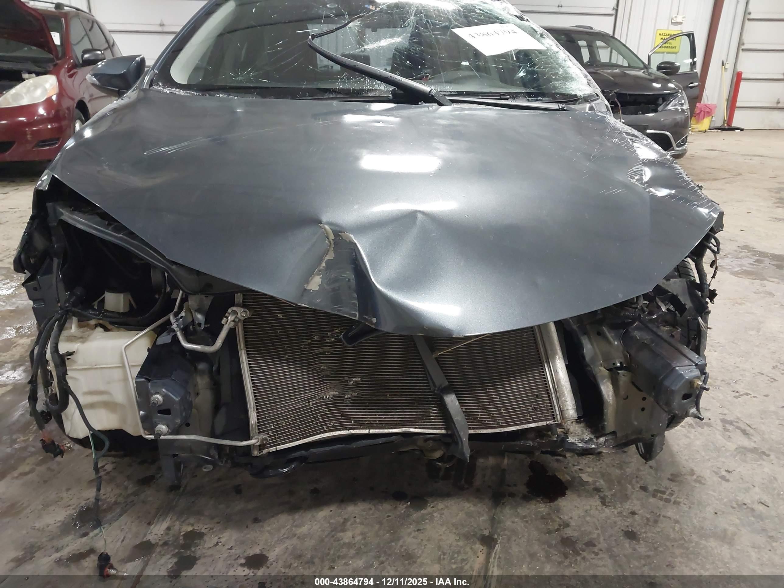 TOYOTA COROLLA image 6