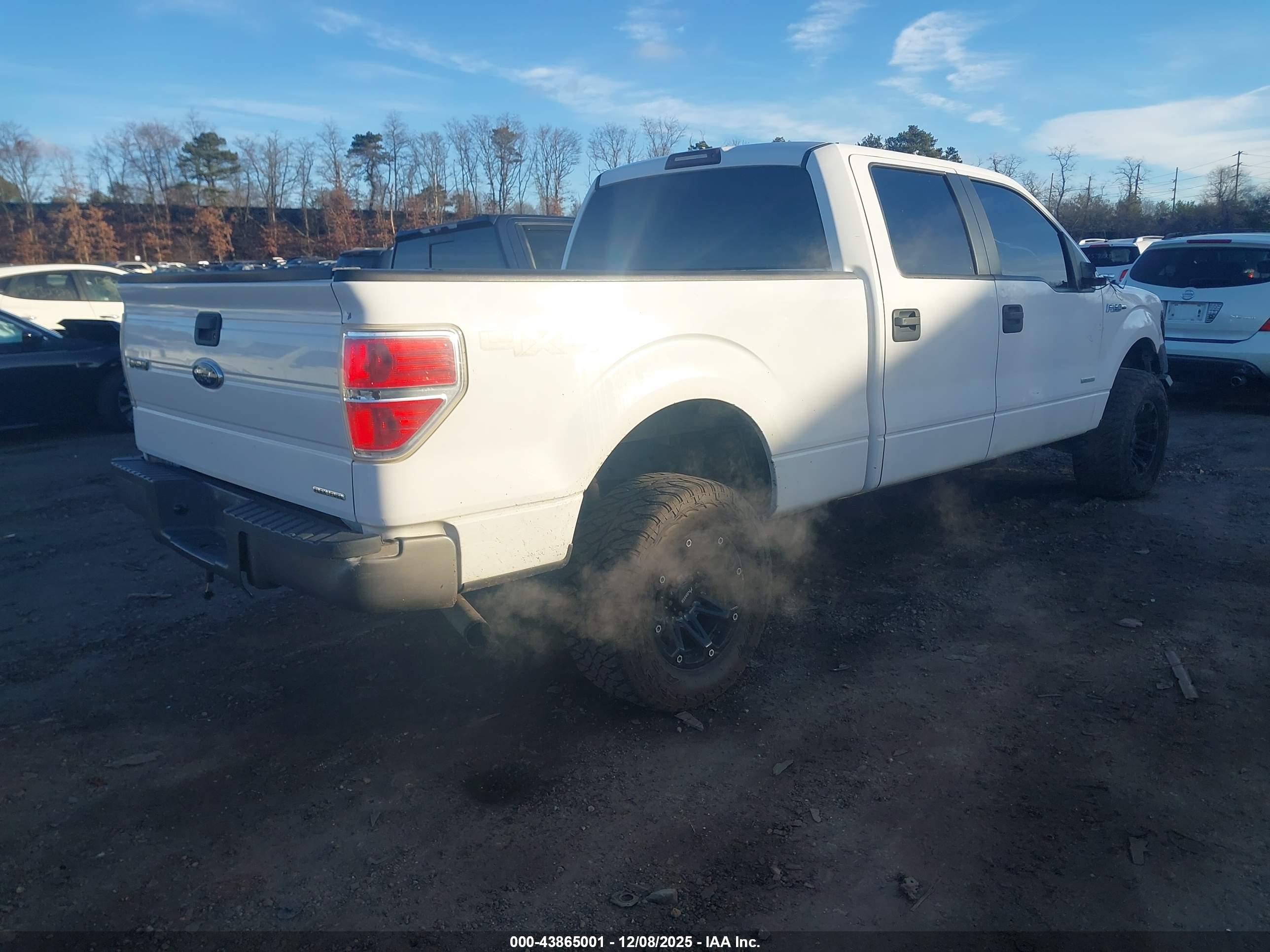 FORD F-150 image 4