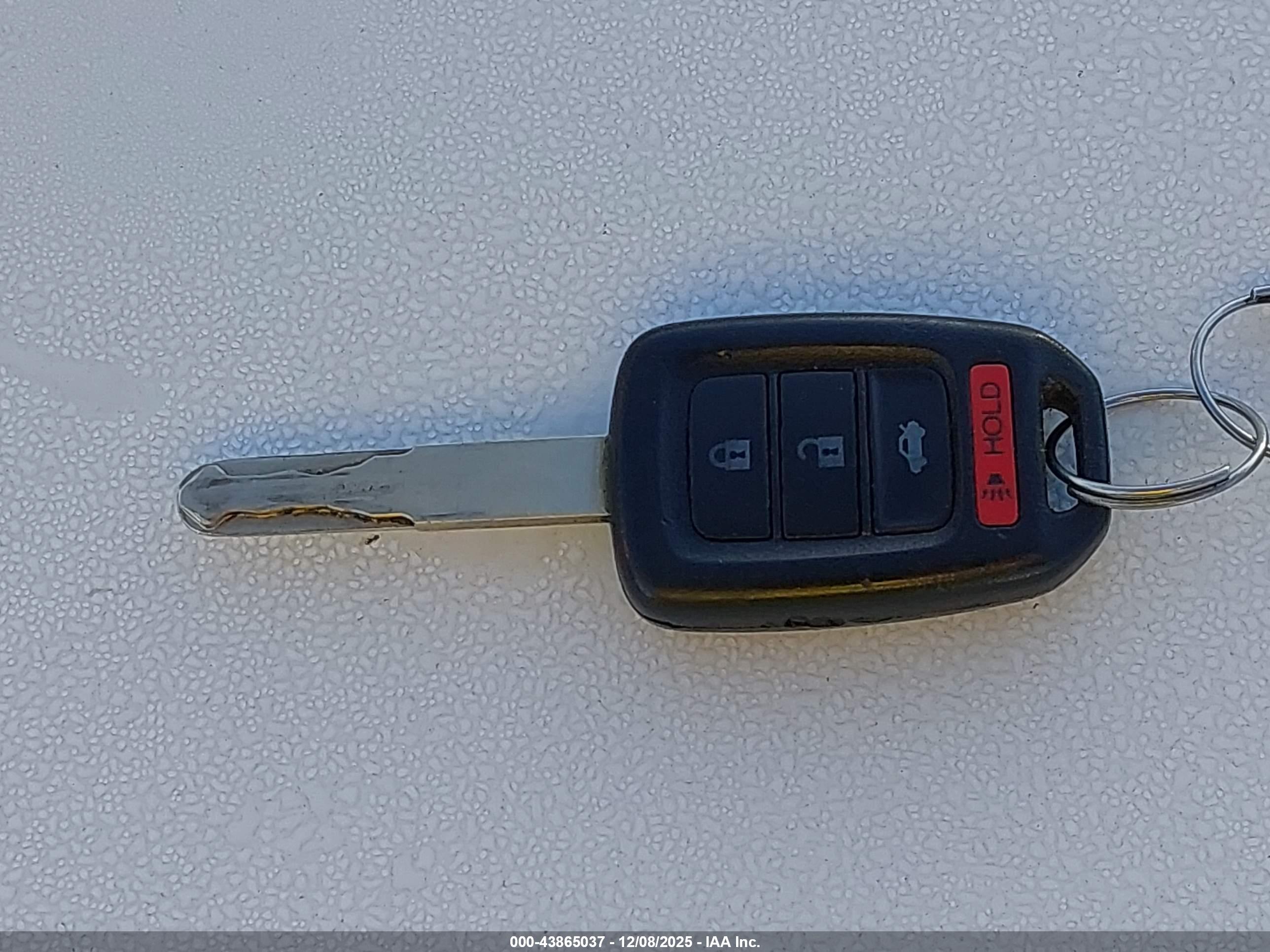 HONDA ACCORD image 11