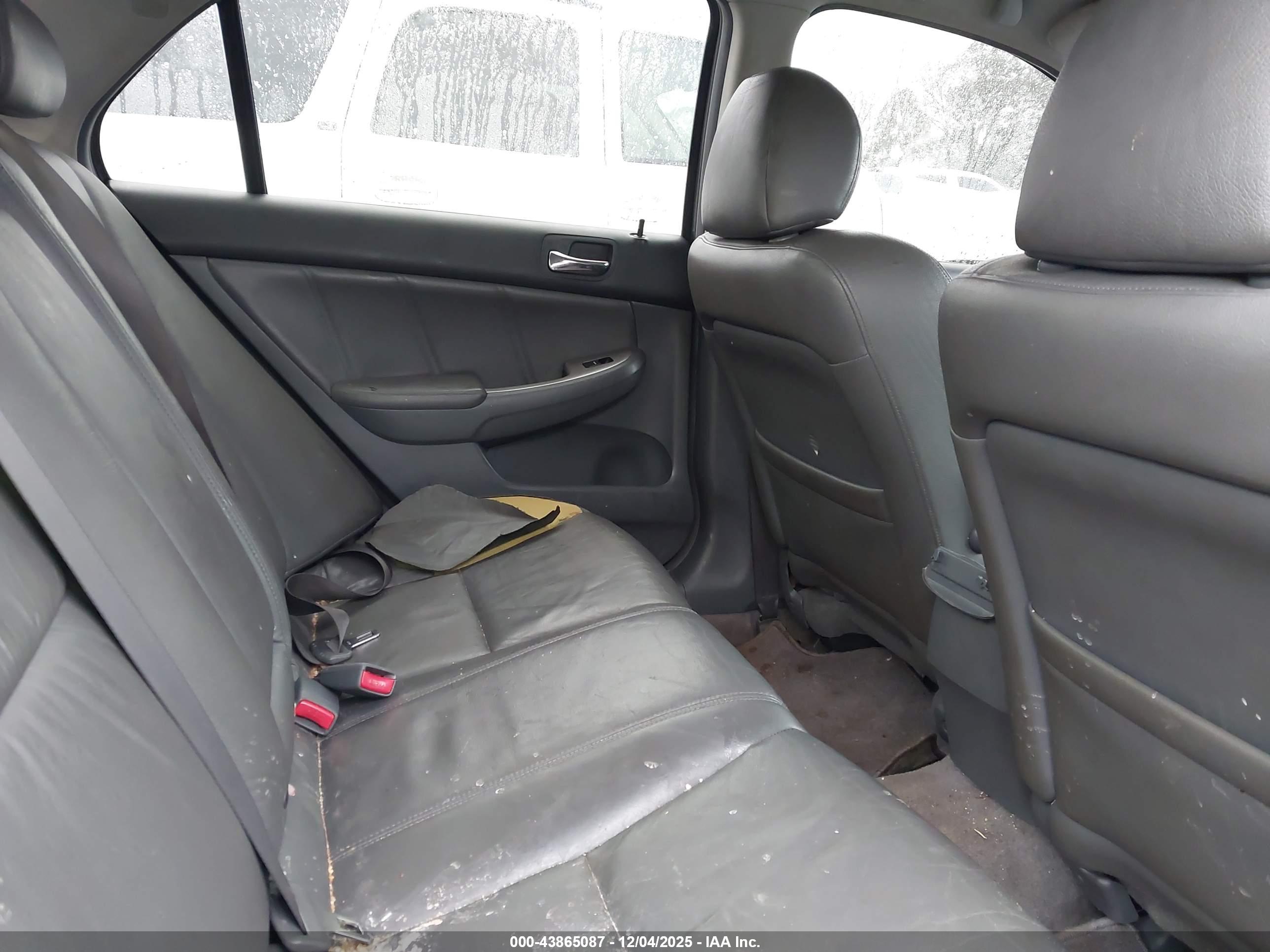 HONDA ACCORD image 8