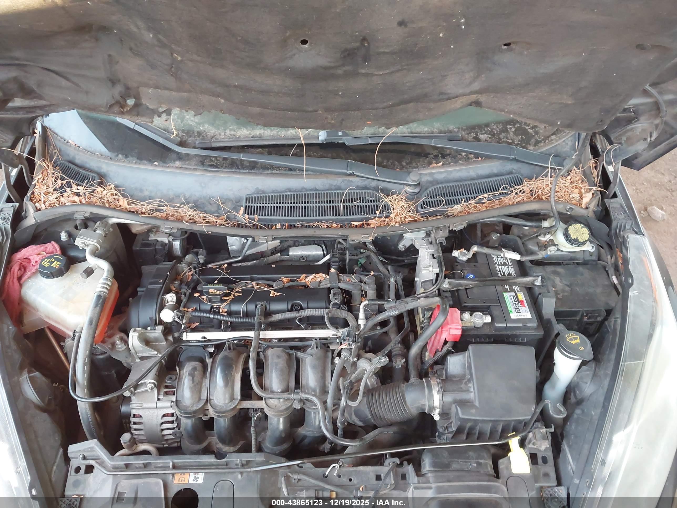 FORD FIESTA image 10
