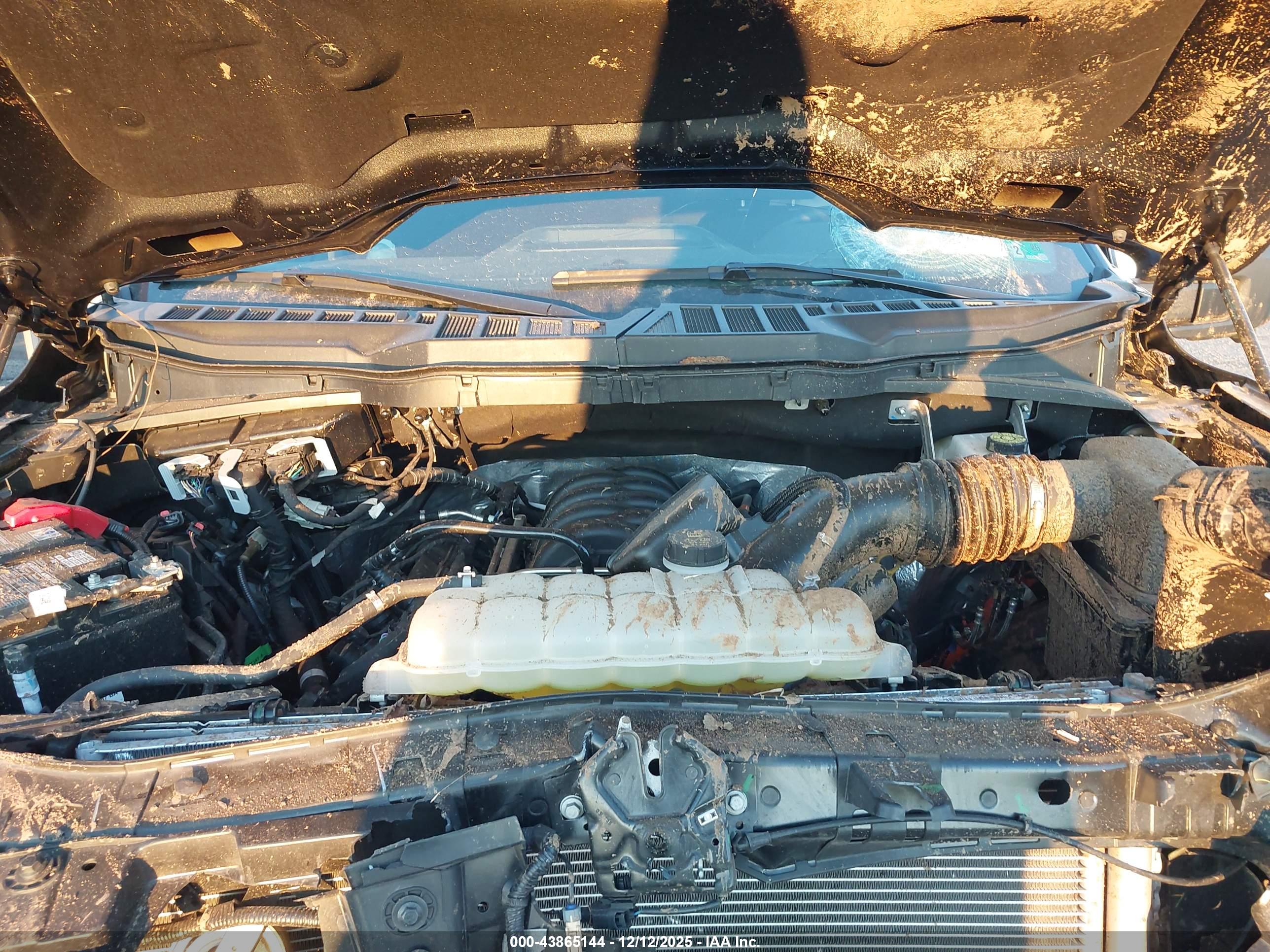 FORD F-150 image 10