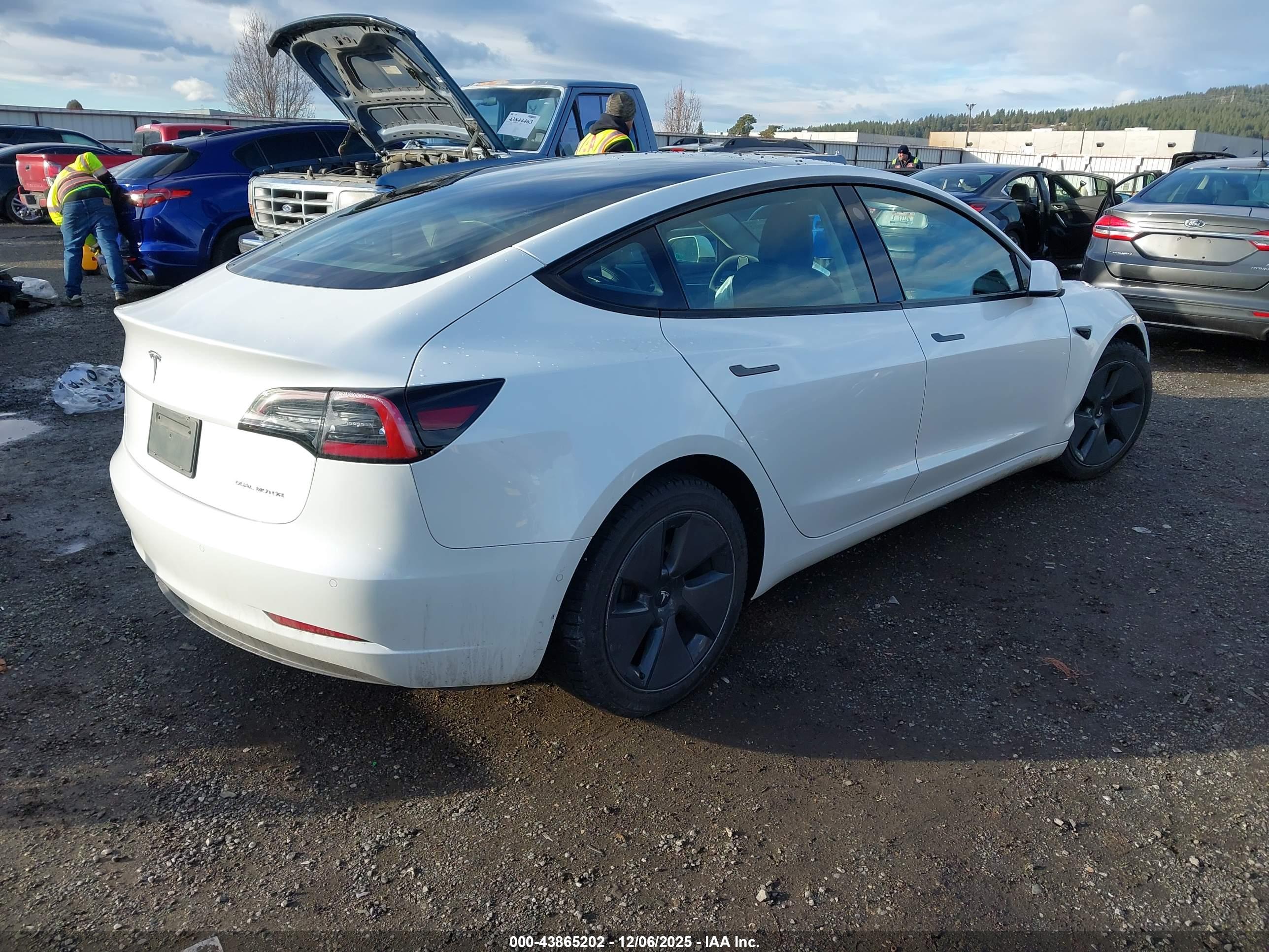 TESLA MODEL image 4