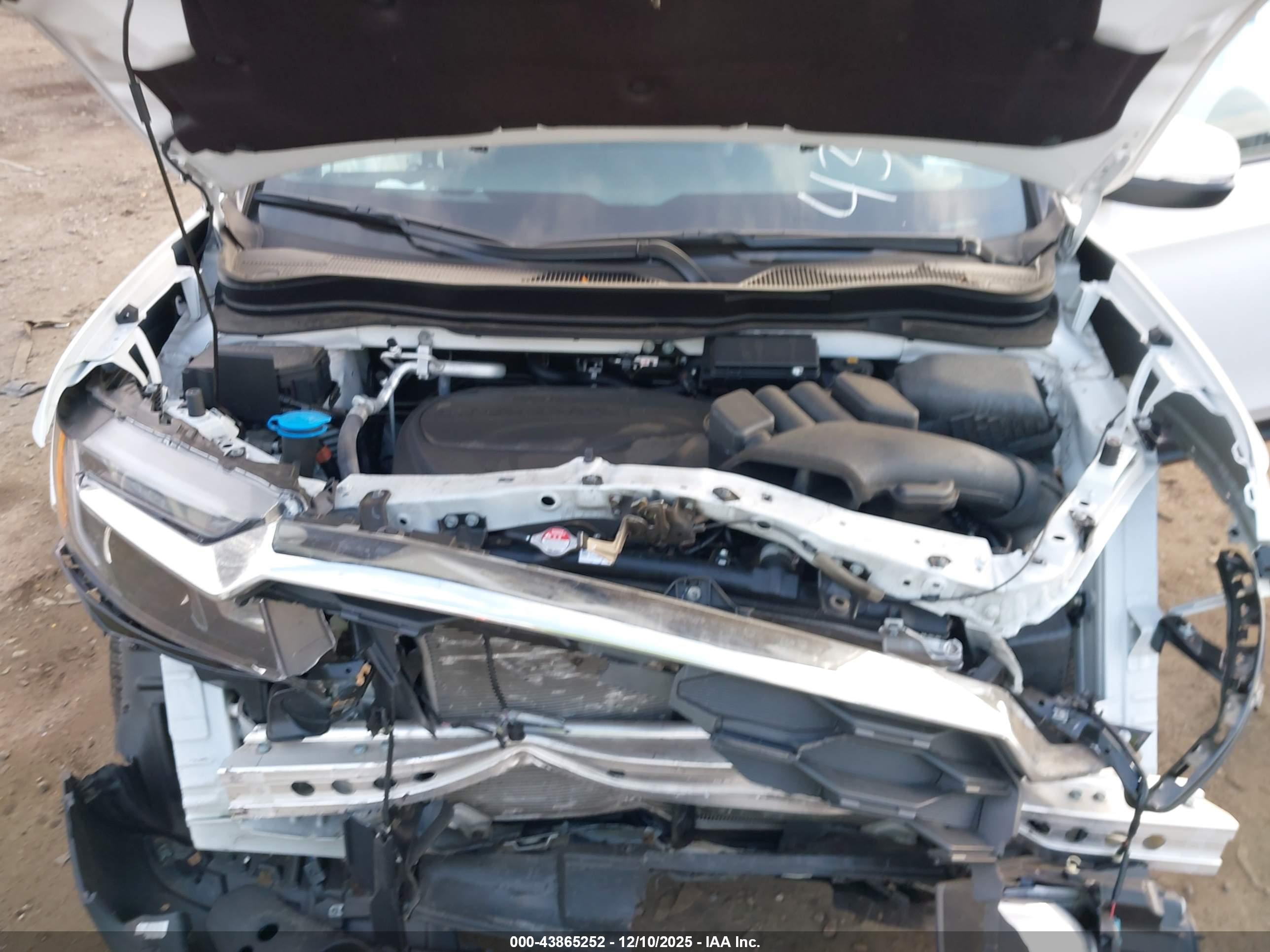 HONDA PASSPORT image 10