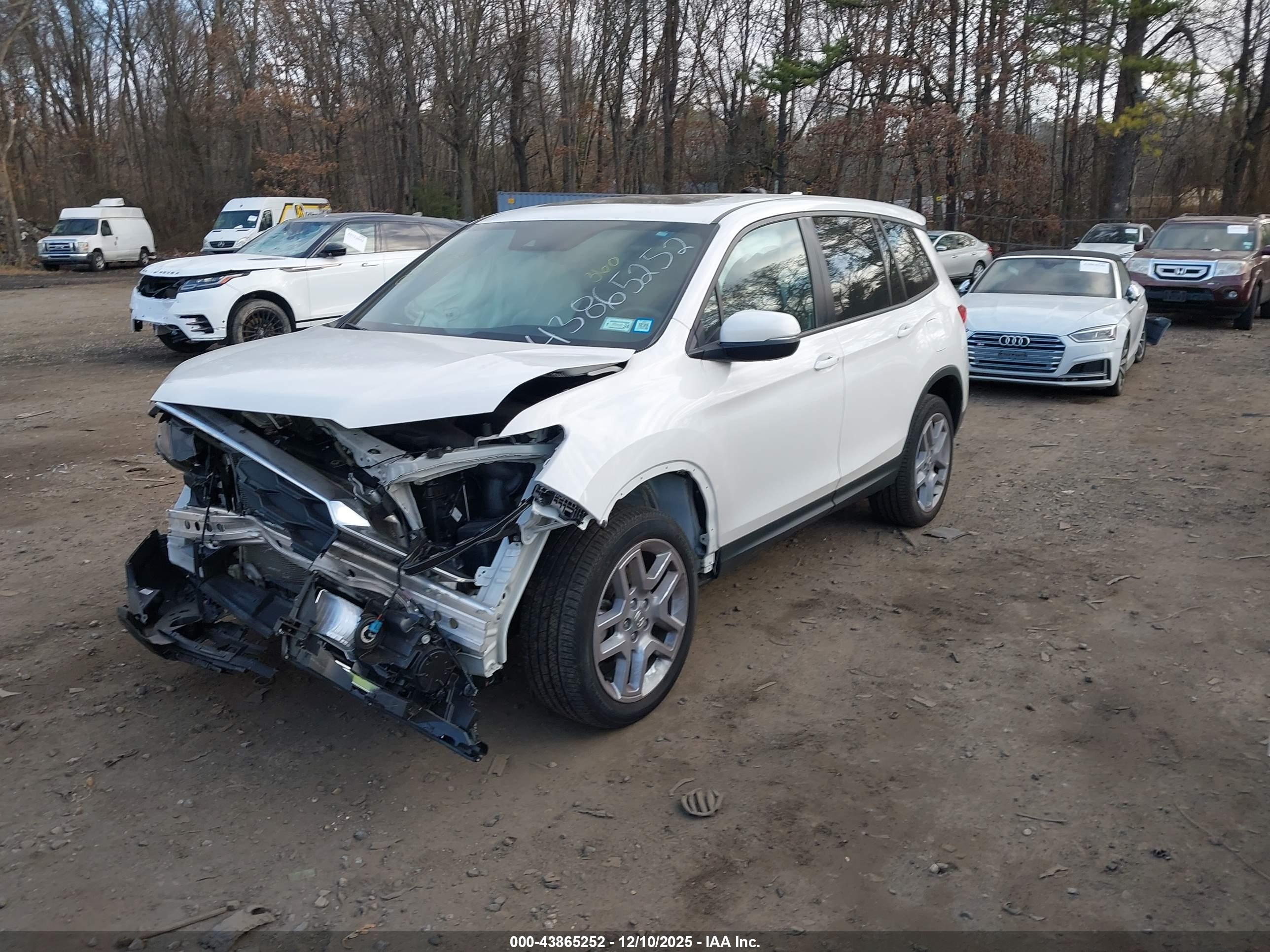 HONDA PASSPORT image 2