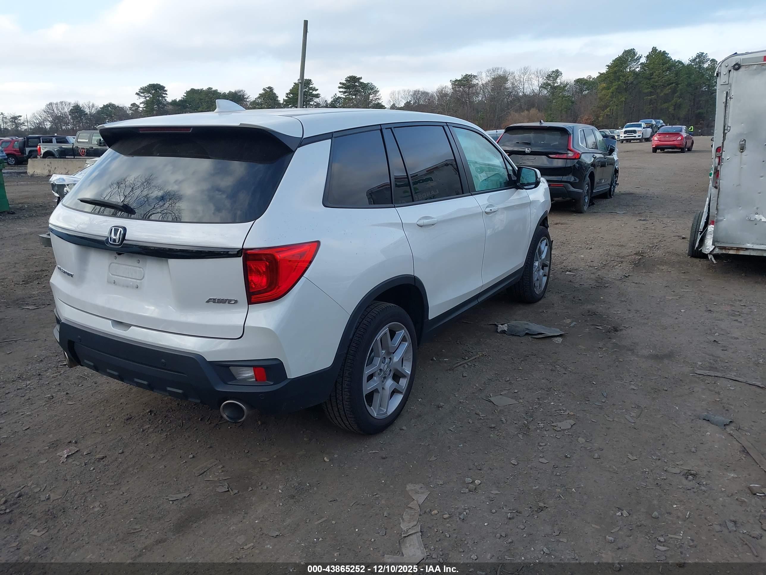 HONDA PASSPORT image 4