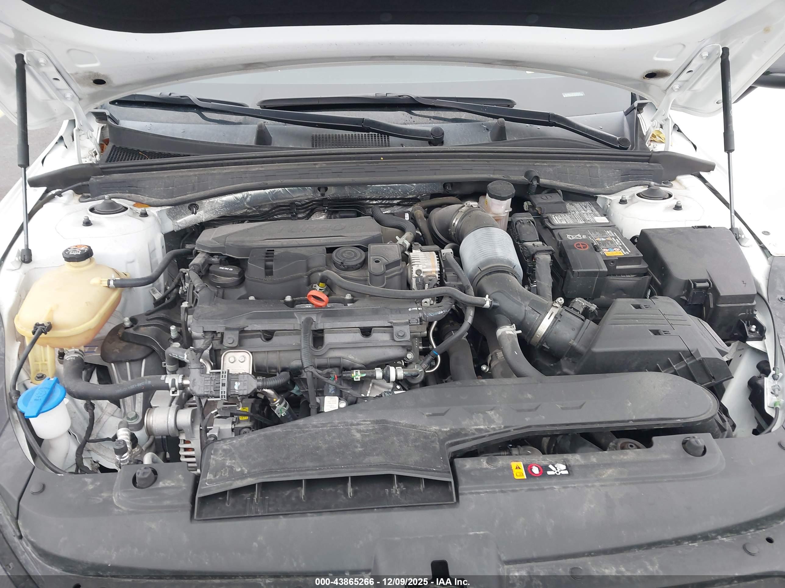 KIA K5 image 10