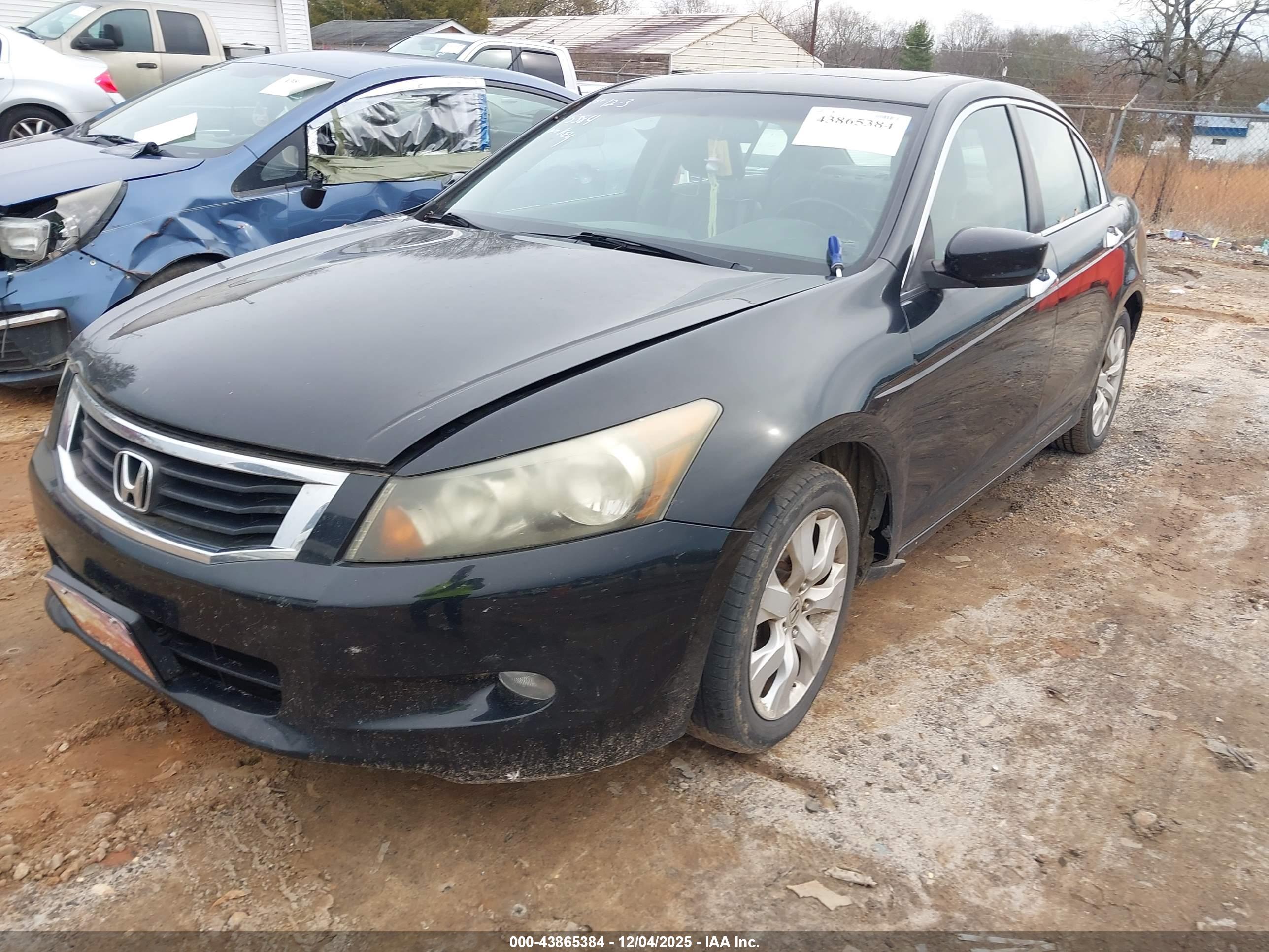 HONDA ACCORD image 2