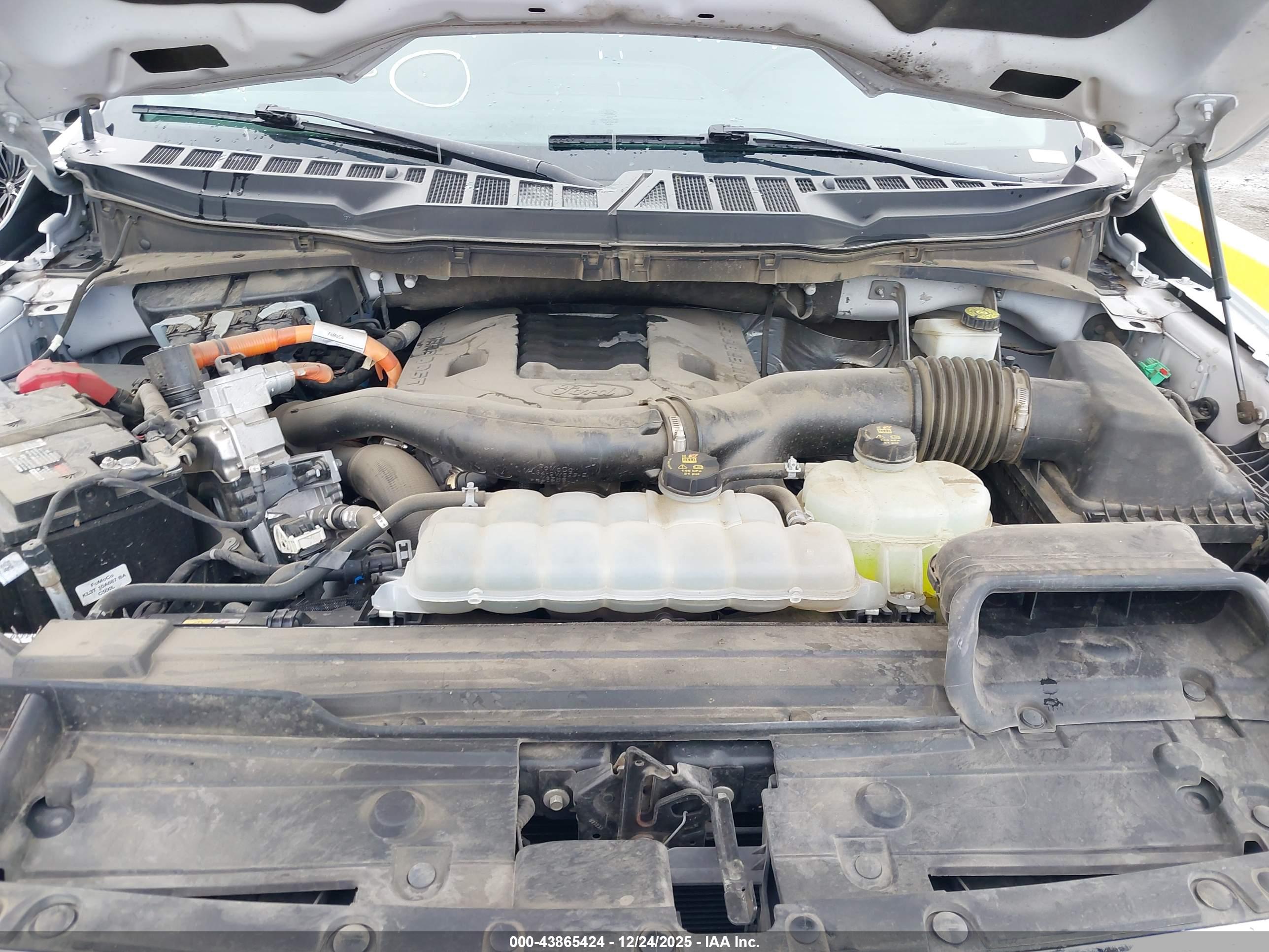 FORD F-150 image 10