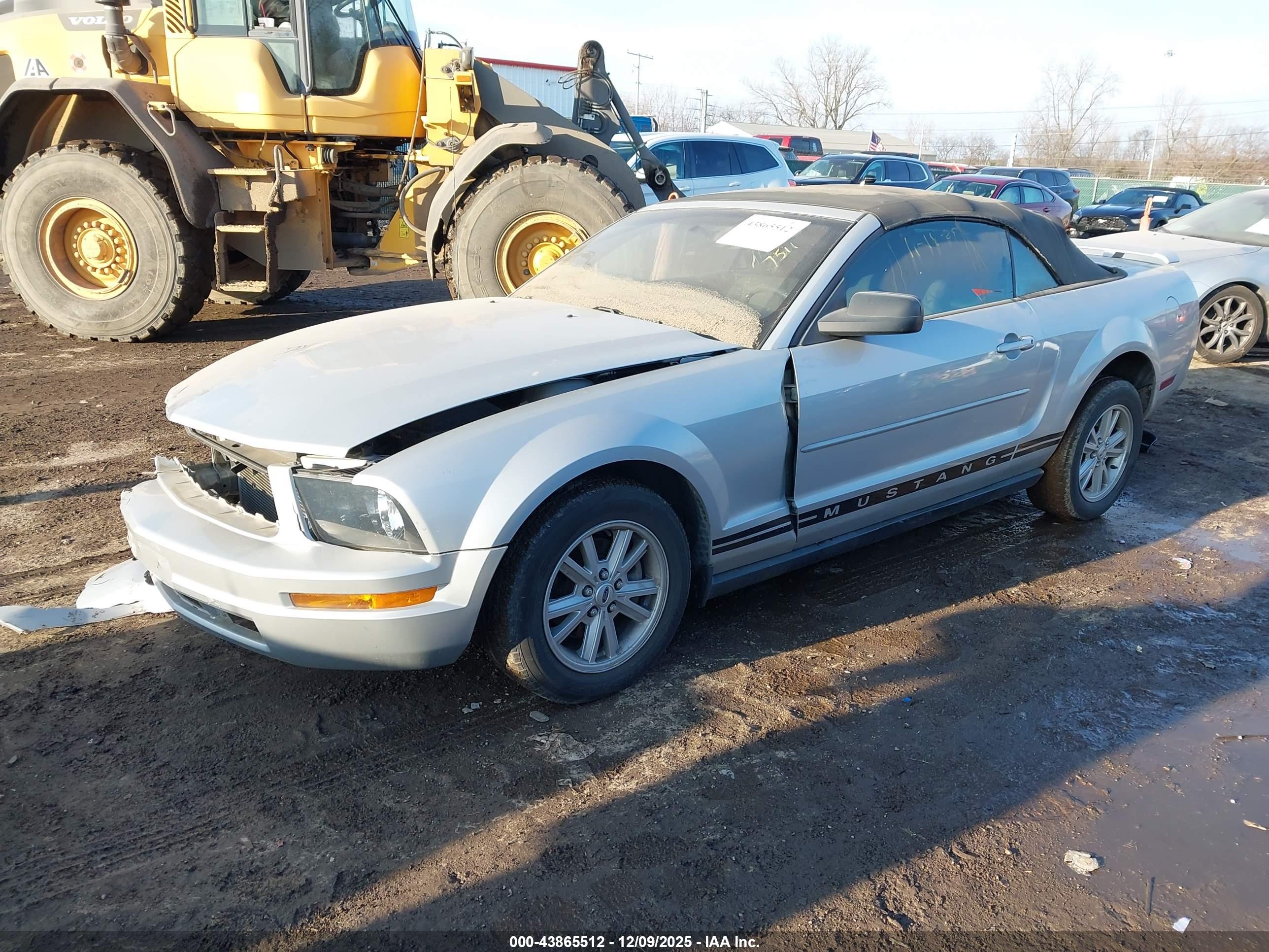 FORD MUSTANG image 2
