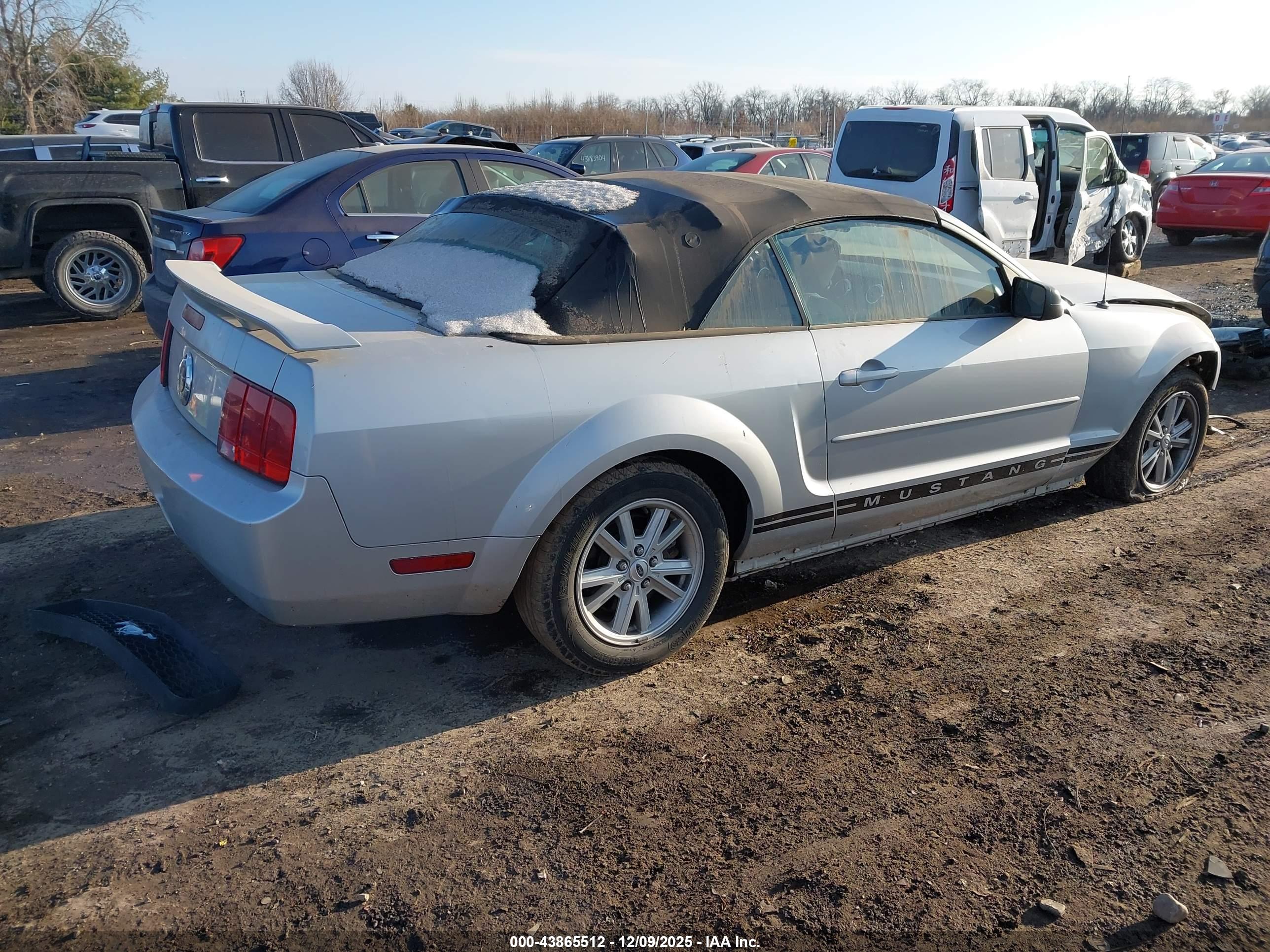 FORD MUSTANG image 4