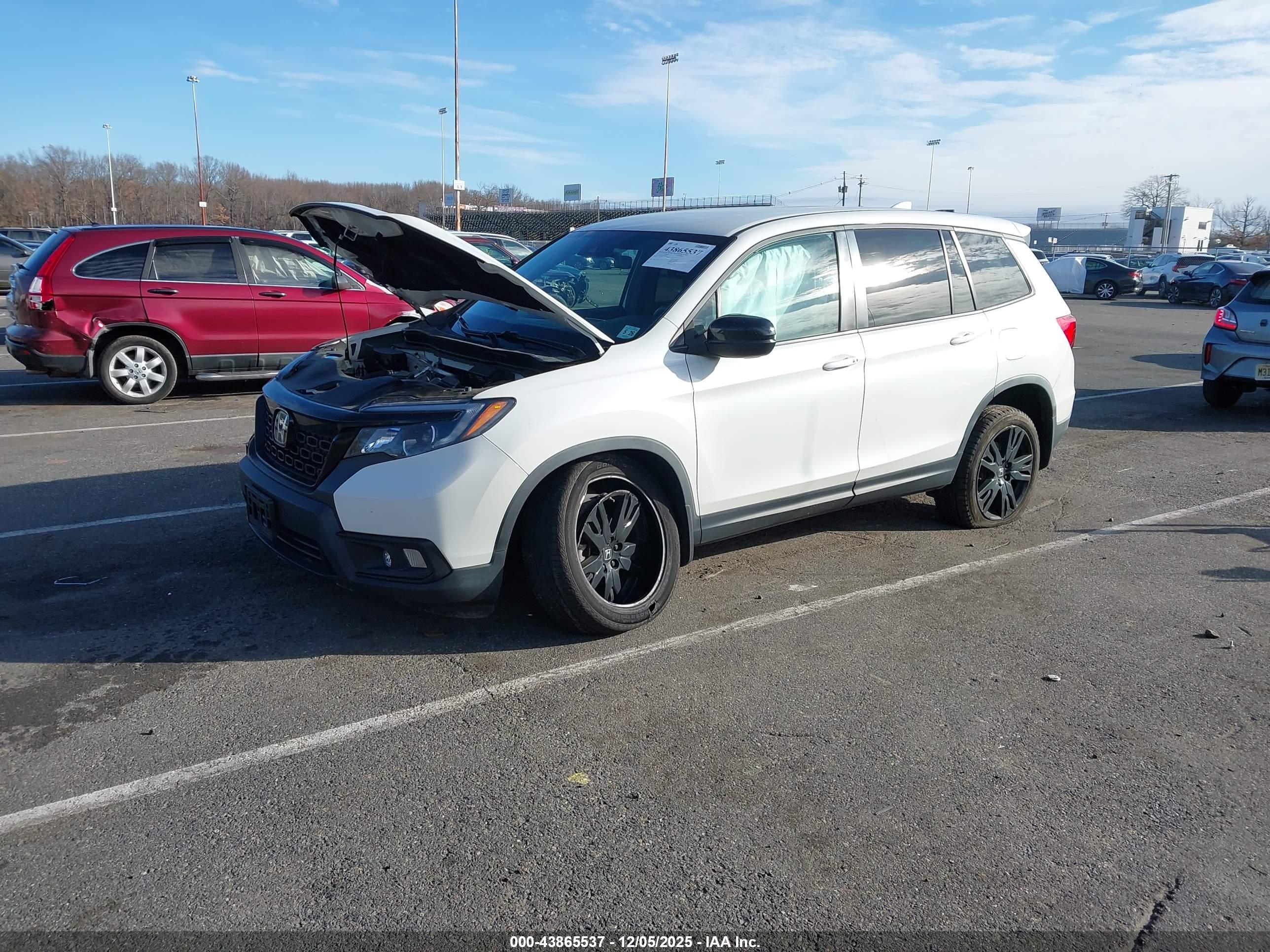 HONDA PASSPORT image 2