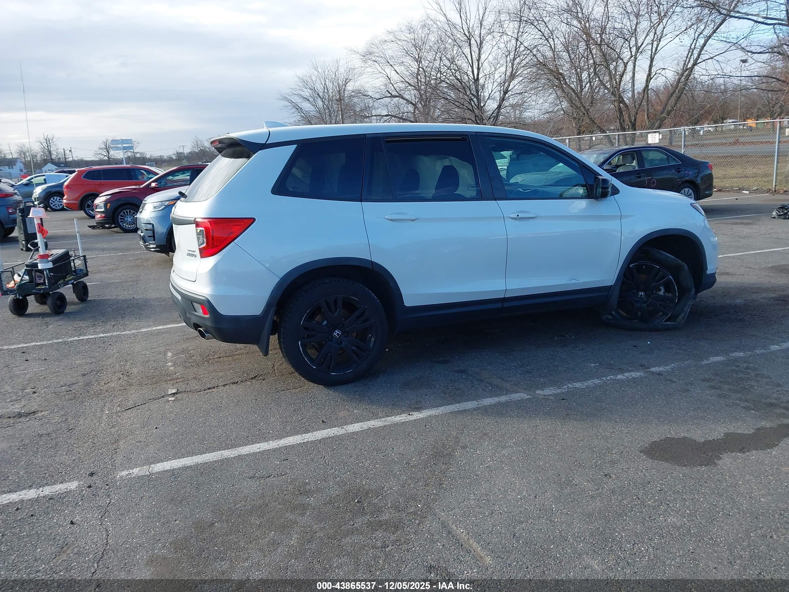 HONDA PASSPORT image 4