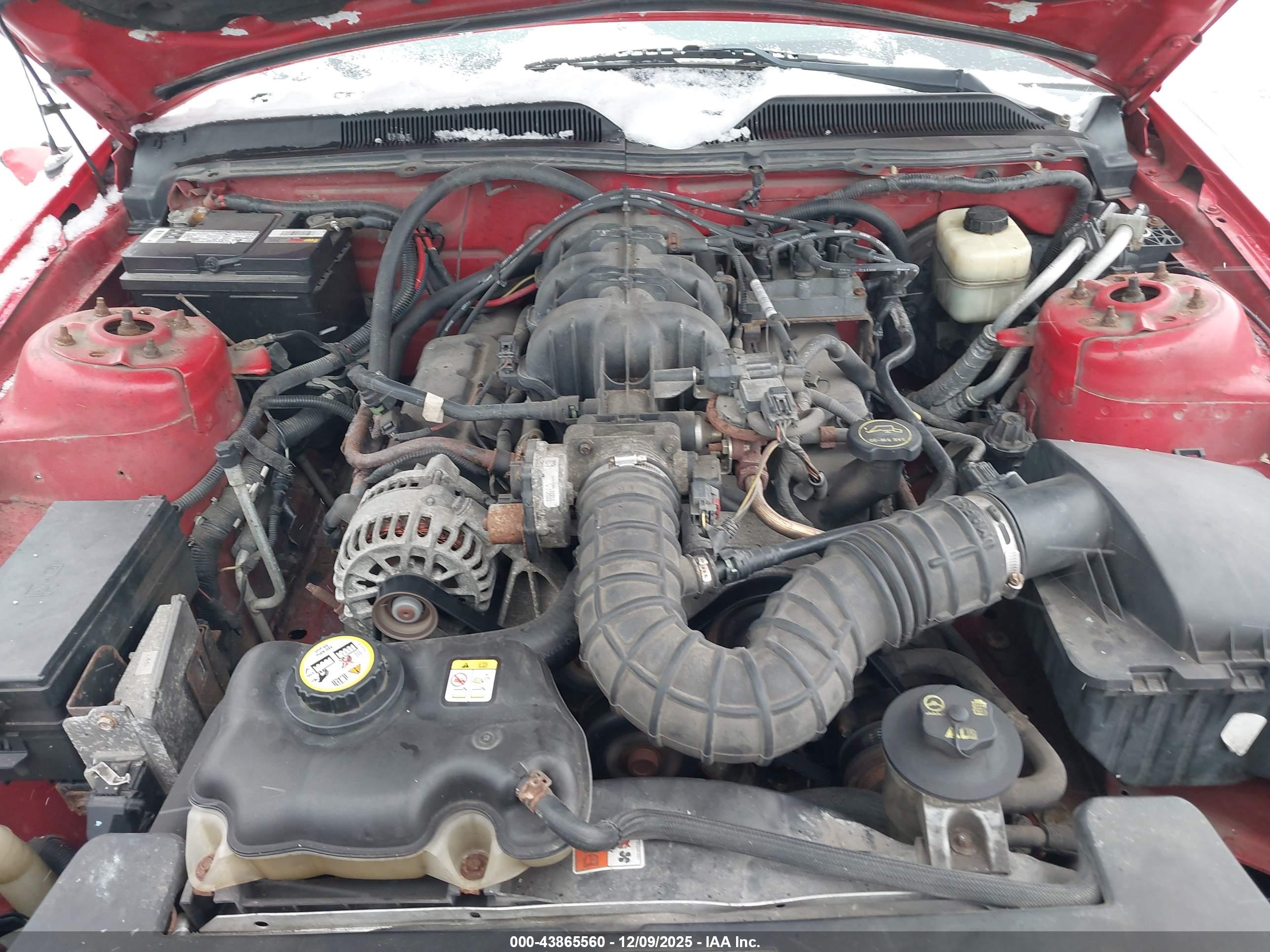 FORD MUSTANG image 10