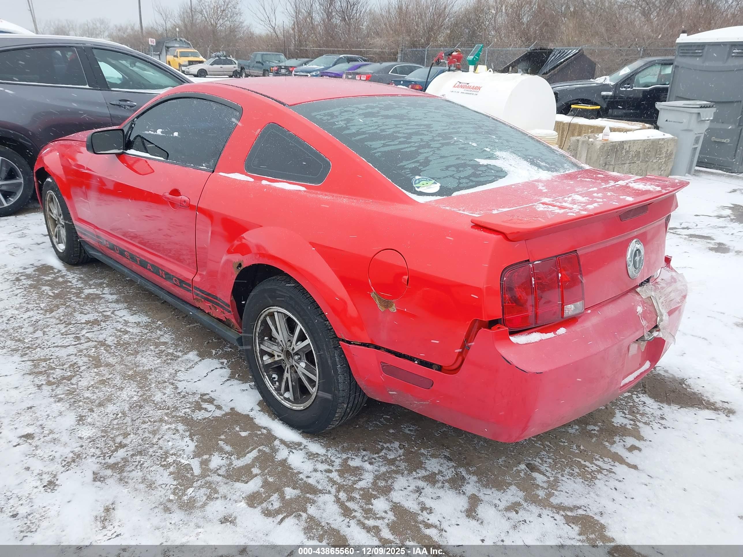 FORD MUSTANG image 3