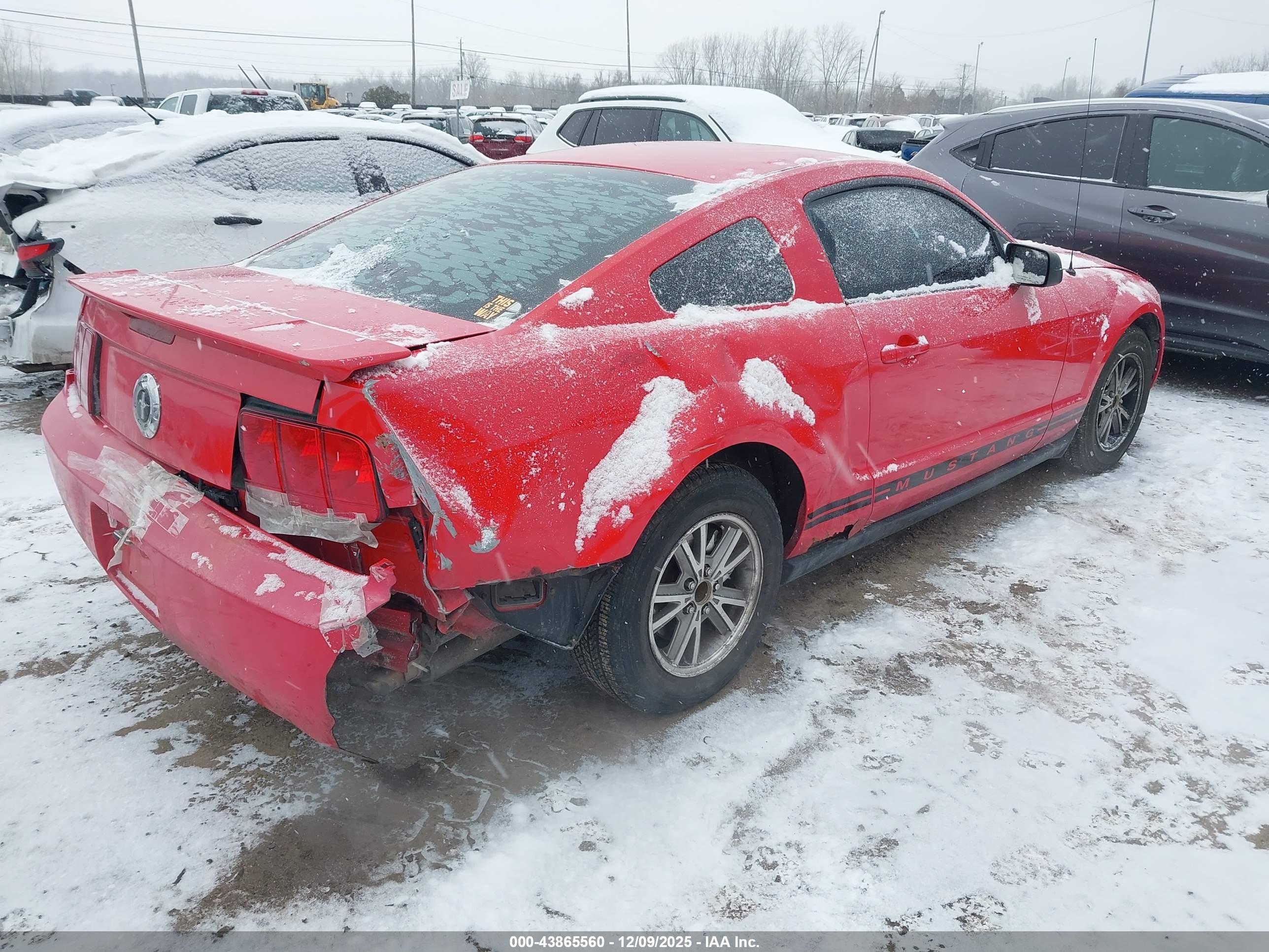 FORD MUSTANG image 4