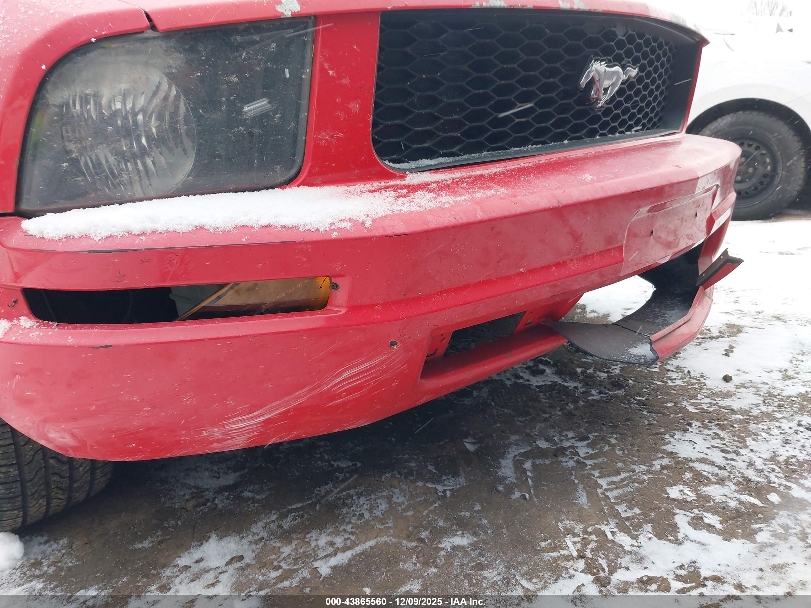 FORD MUSTANG image 6