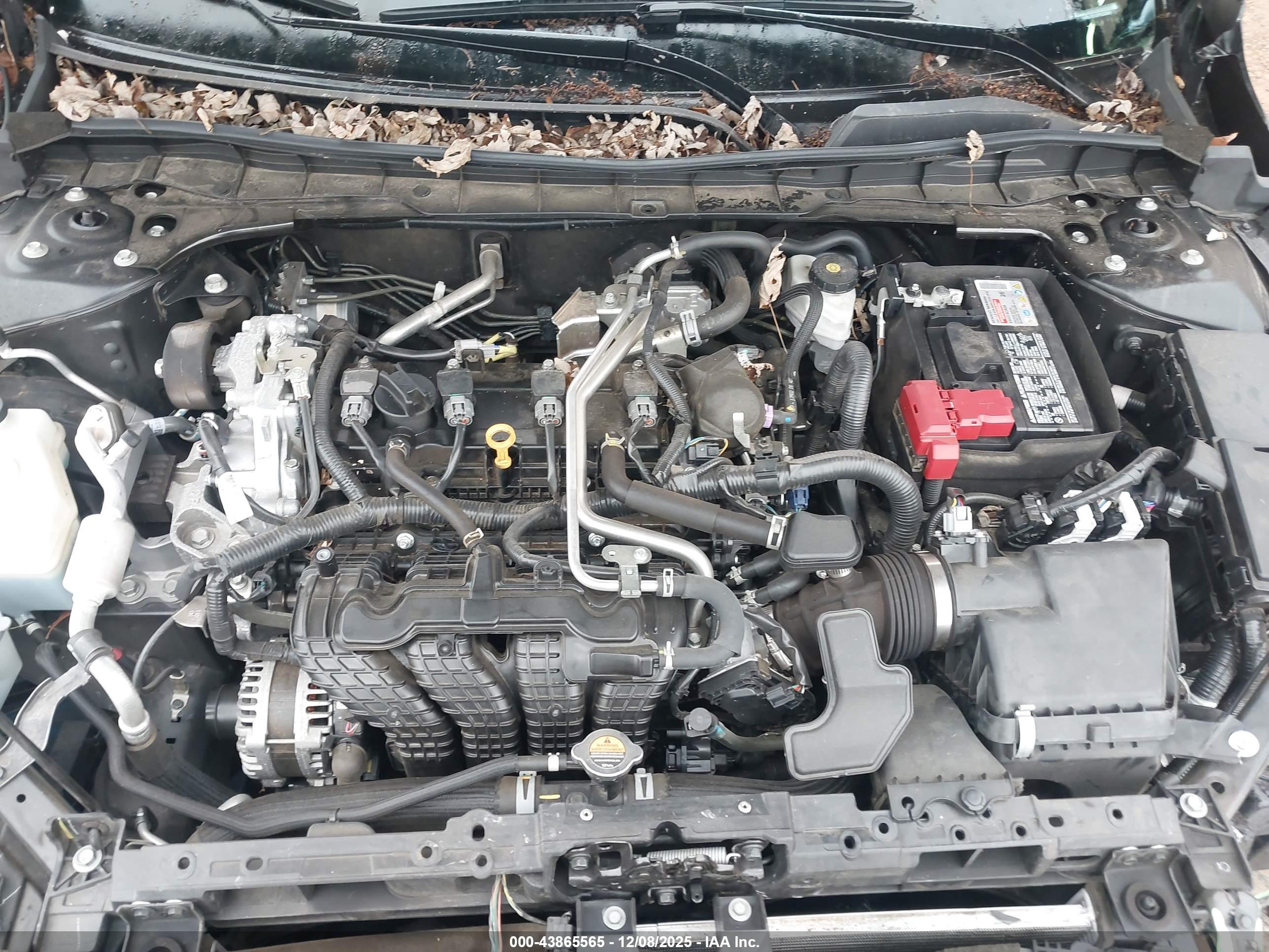NISSAN ALTIMA image 10