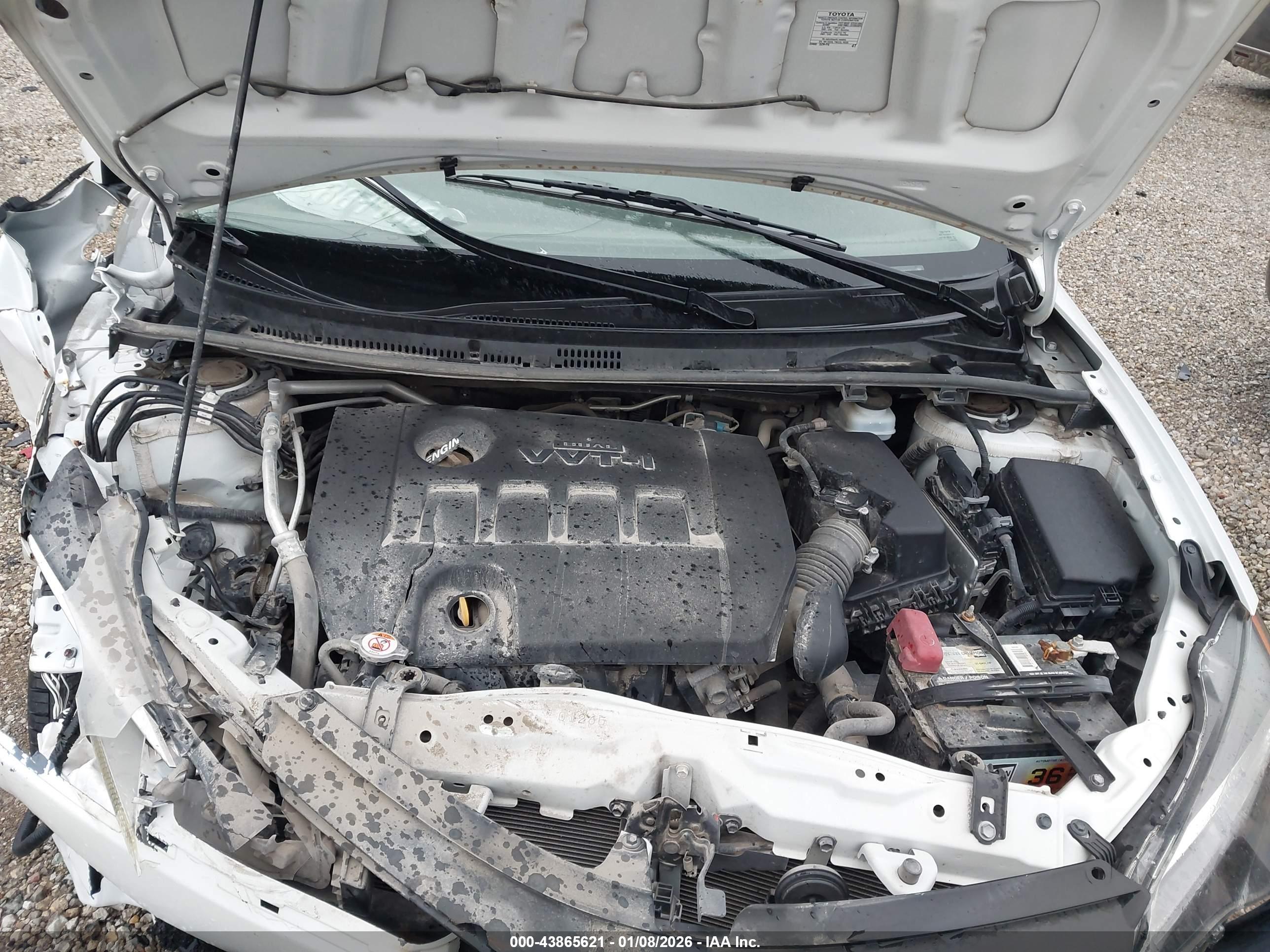 TOYOTA COROLLA image 10