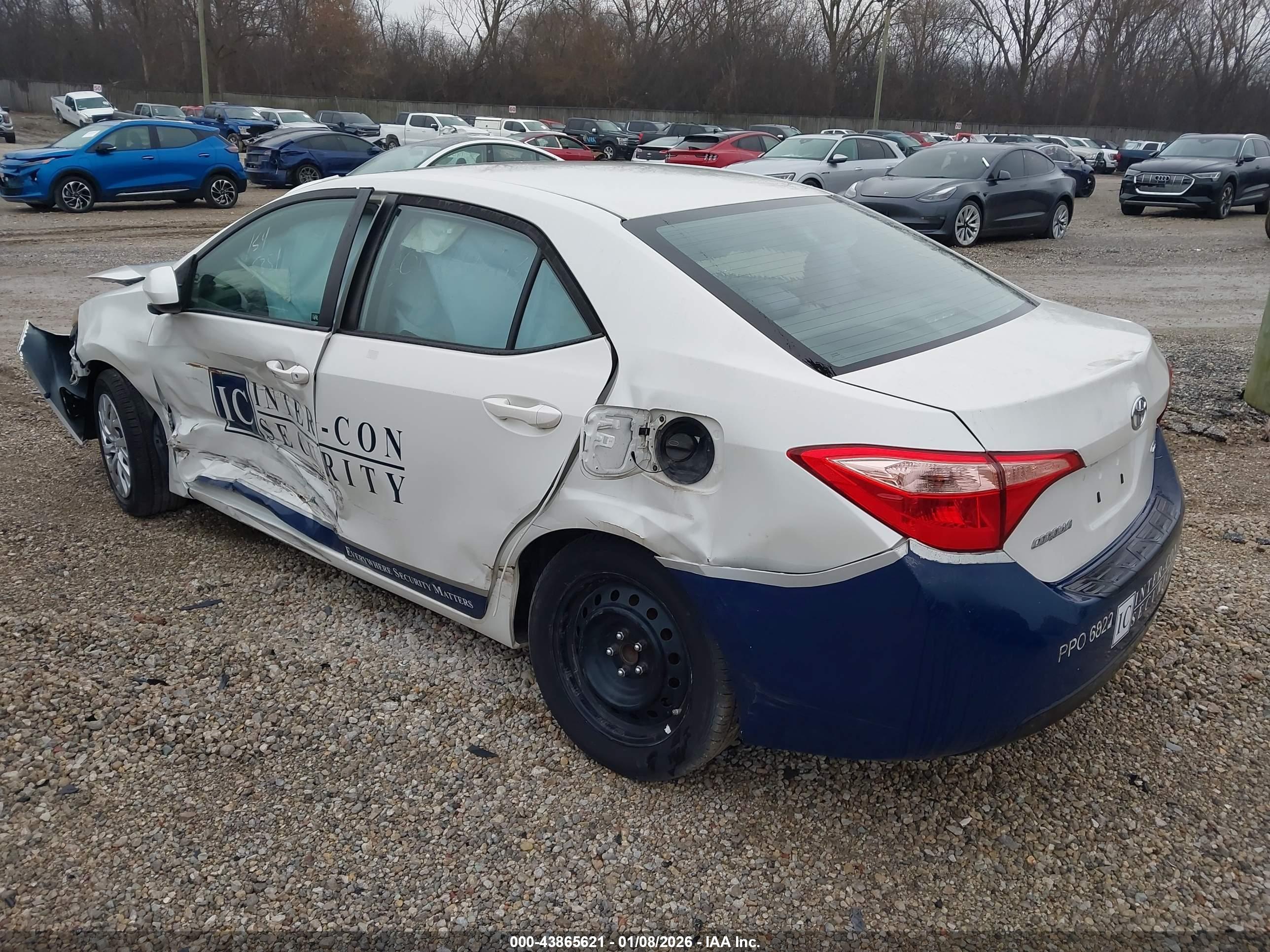TOYOTA COROLLA image 3