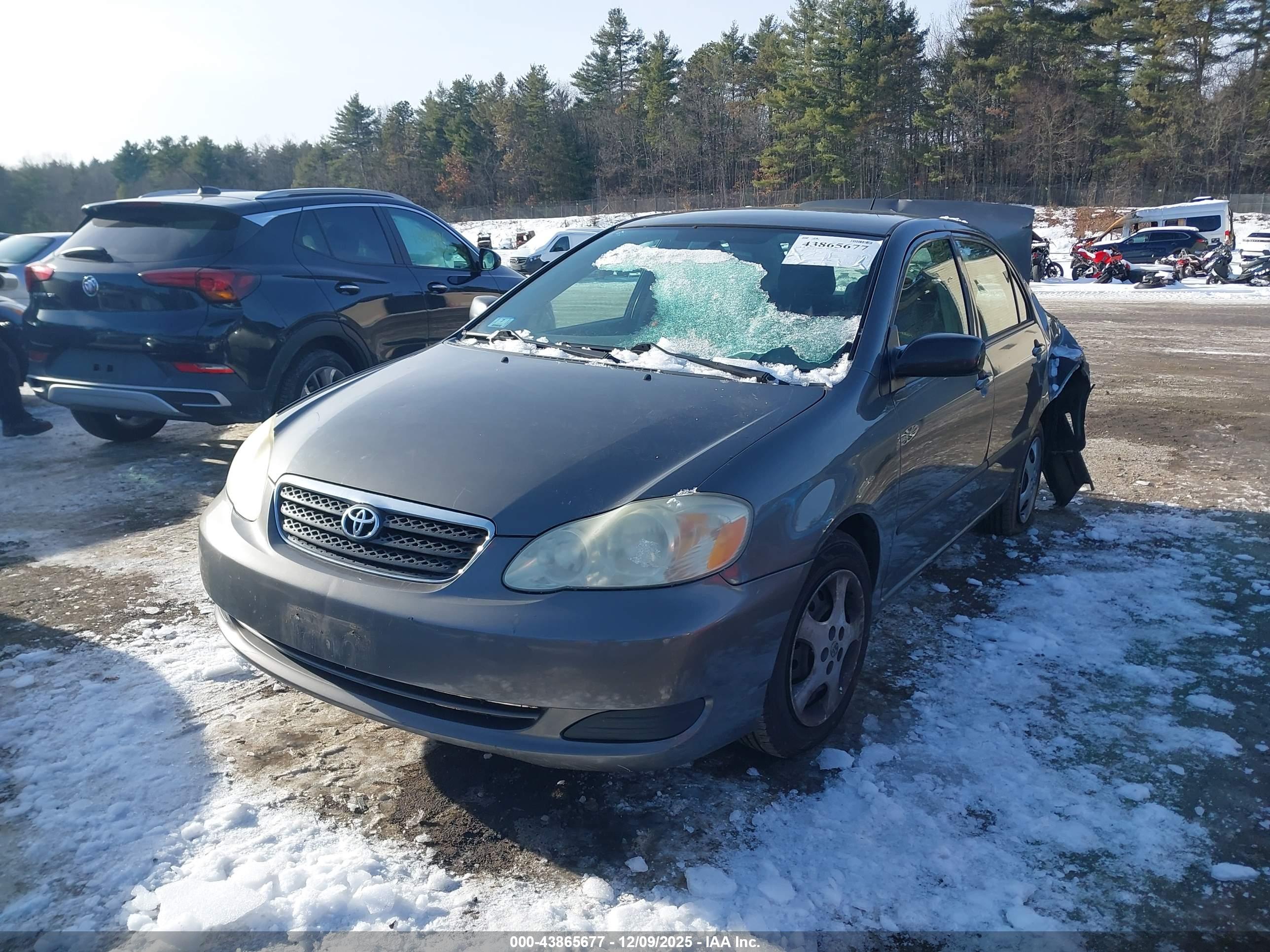 TOYOTA COROLLA image 2