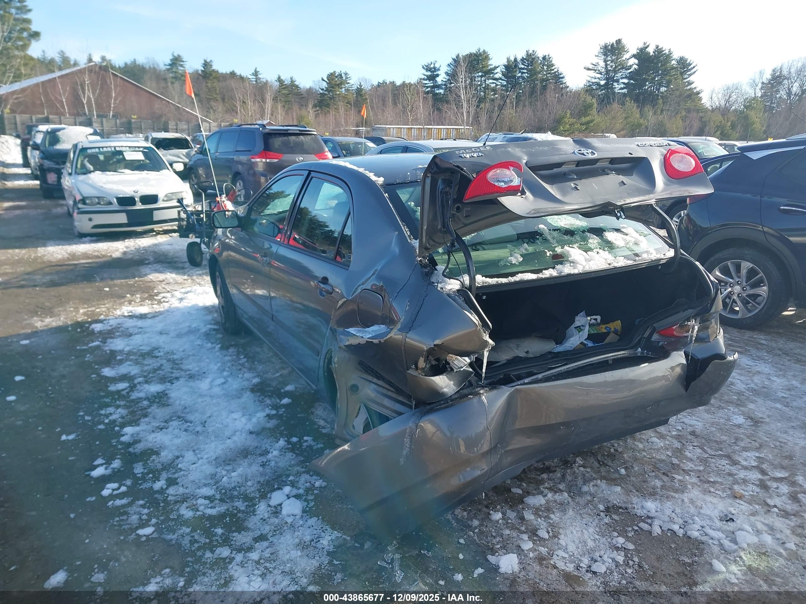 TOYOTA COROLLA image 3