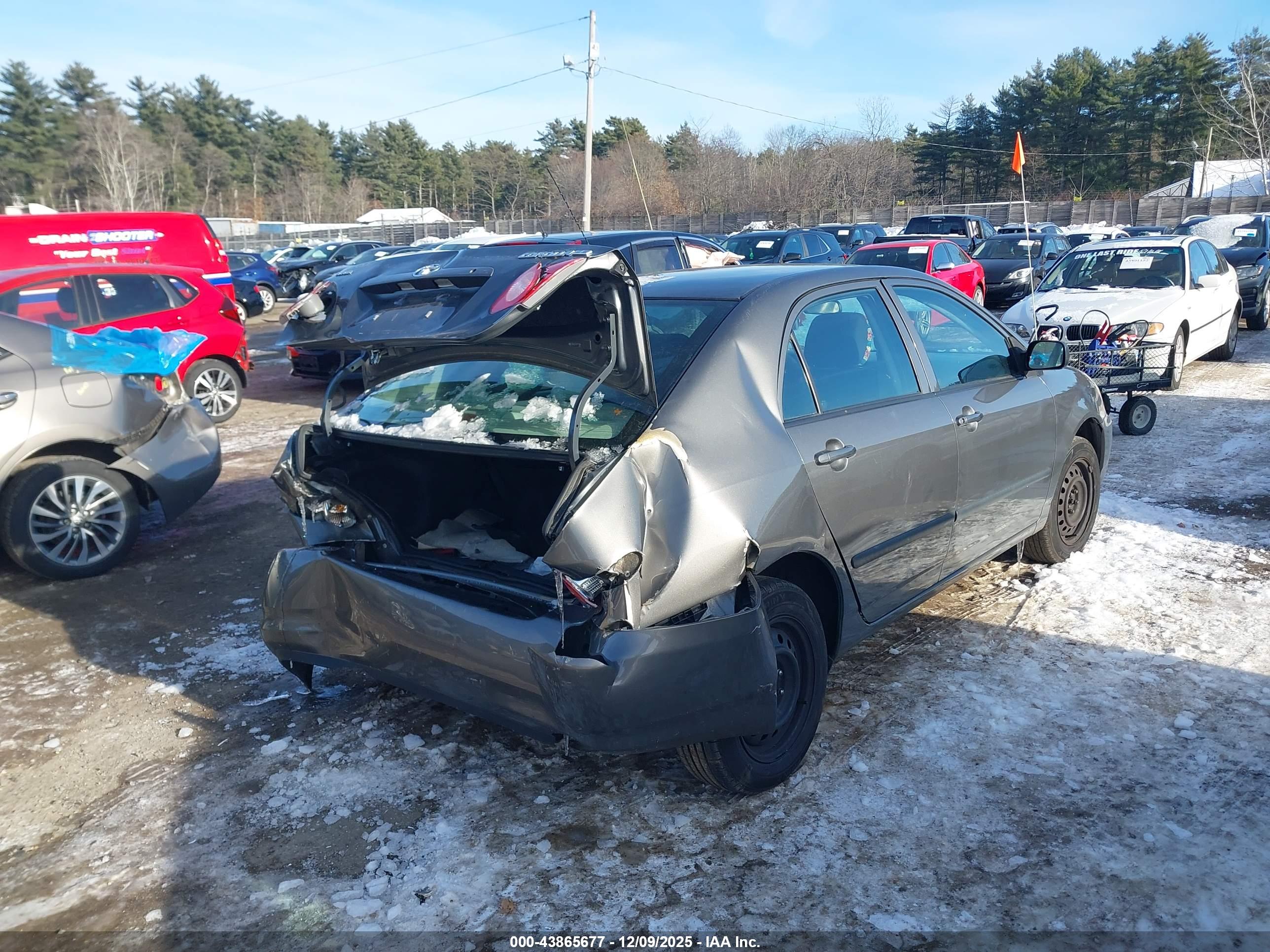 TOYOTA COROLLA image 4
