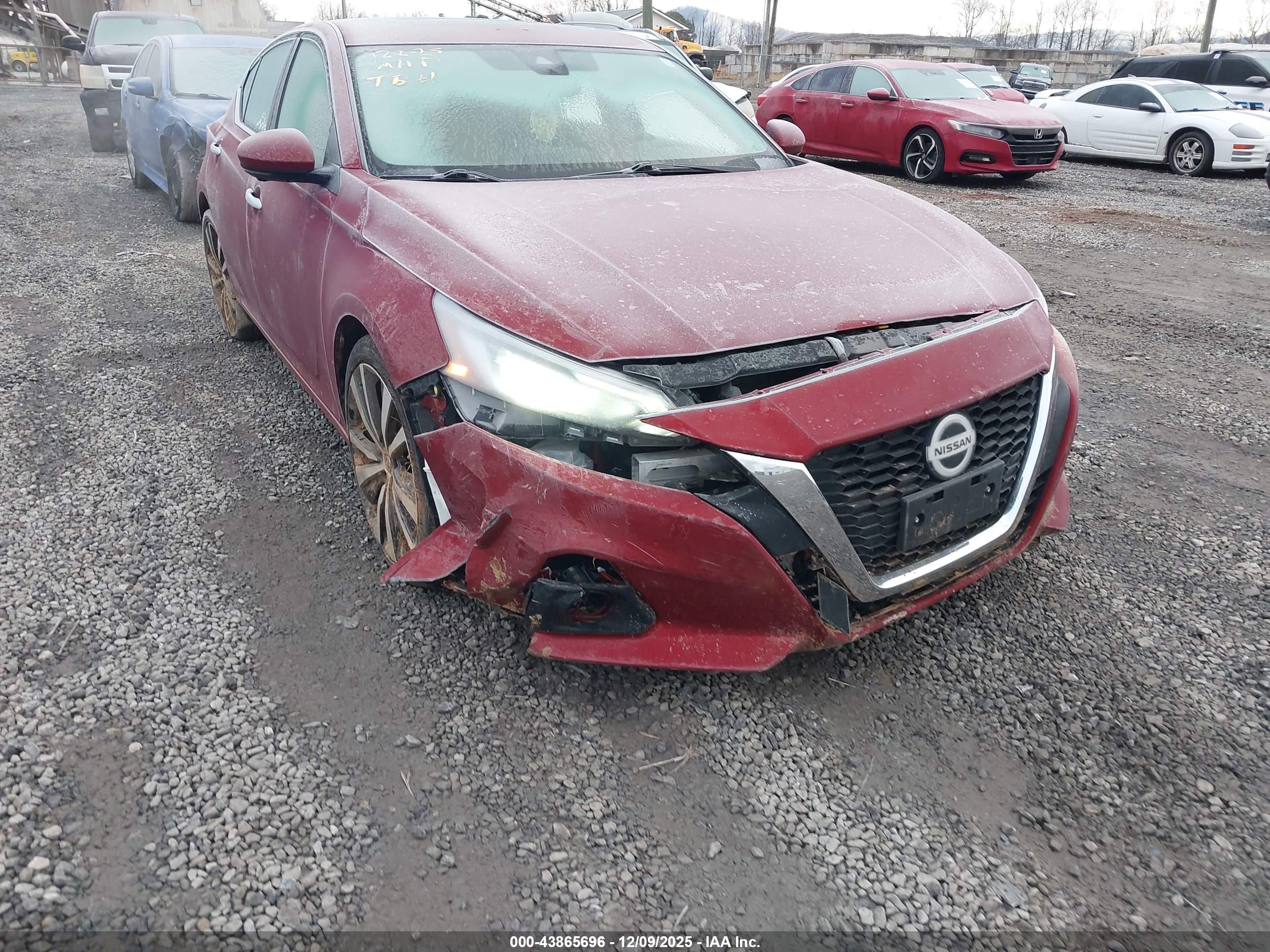 NISSAN ALTIMA image 6