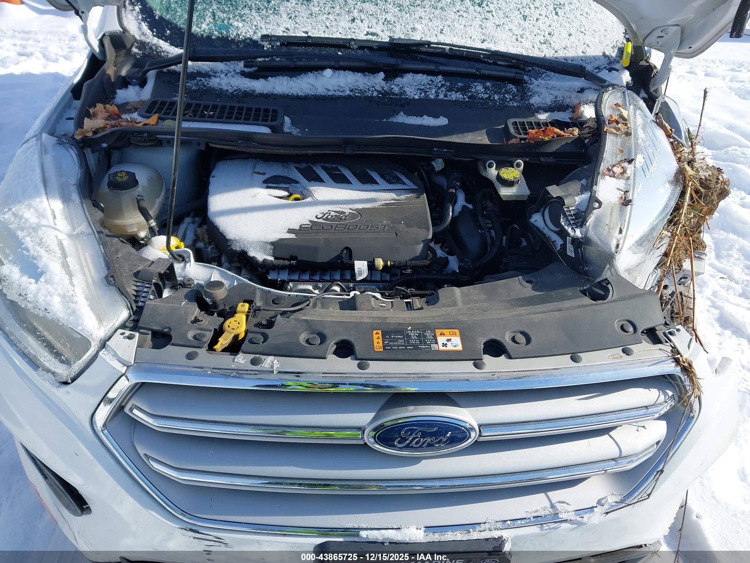 FORD ESCAPE image 10