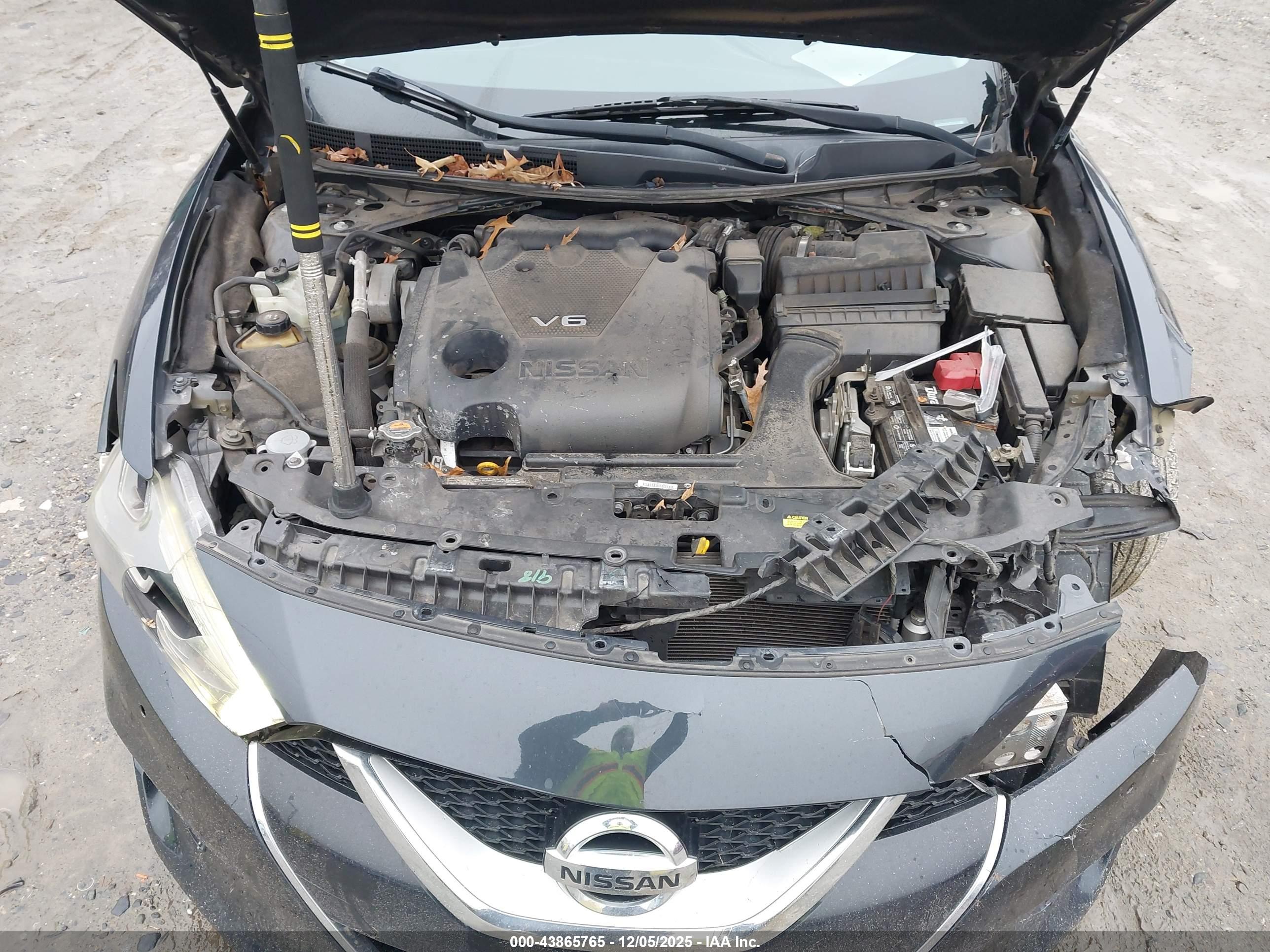 NISSAN MAXIMA image 10