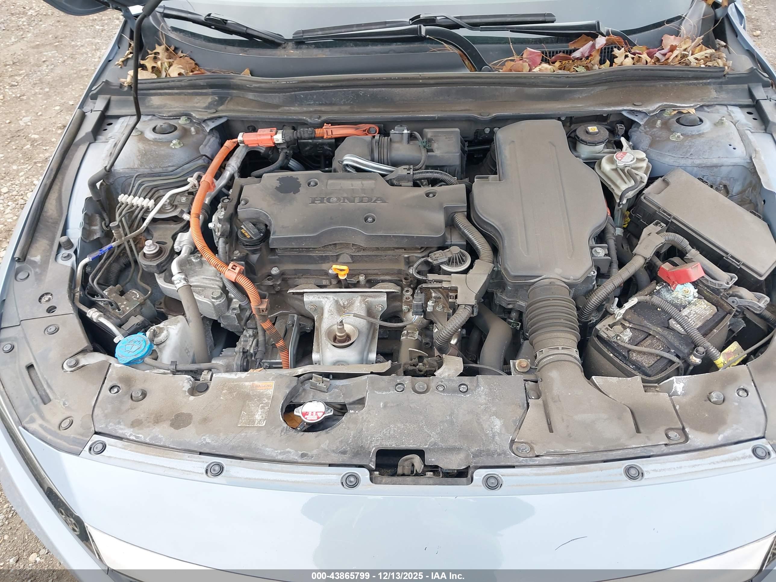 HONDA ACCORD image 10