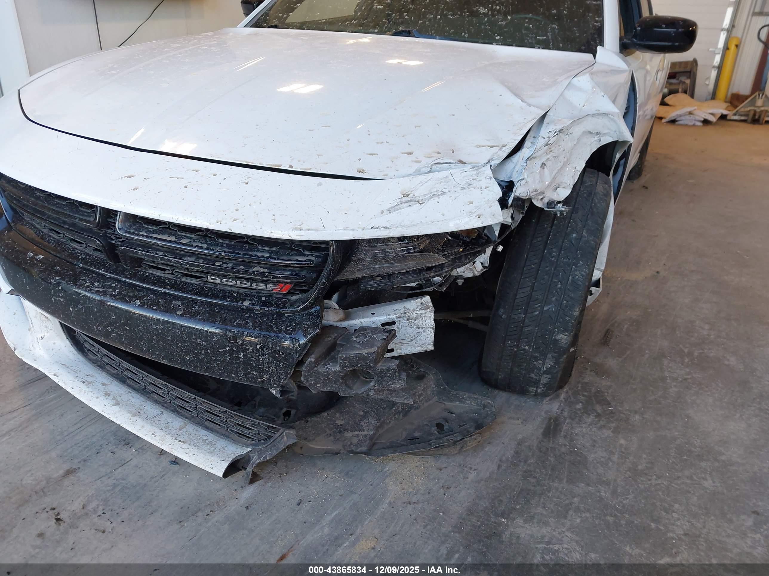 DODGE CHARGER image 6