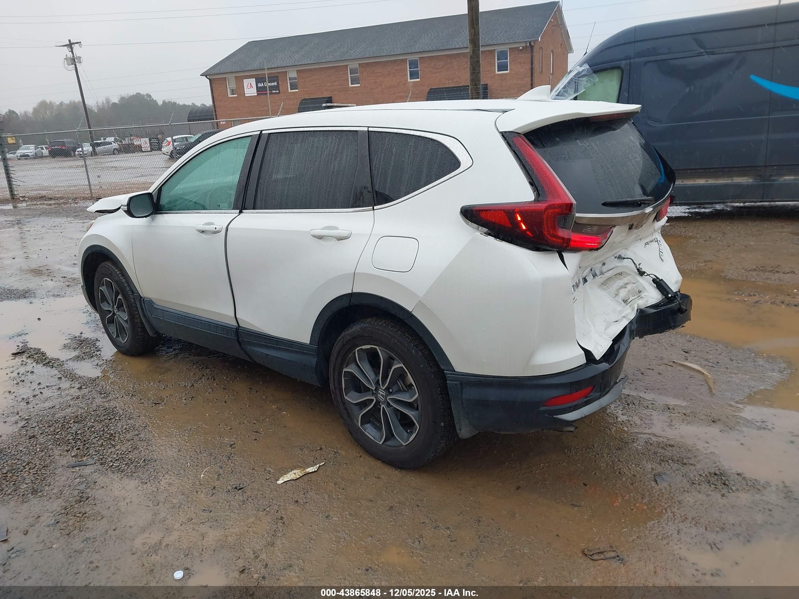 HONDA CR-V image 3