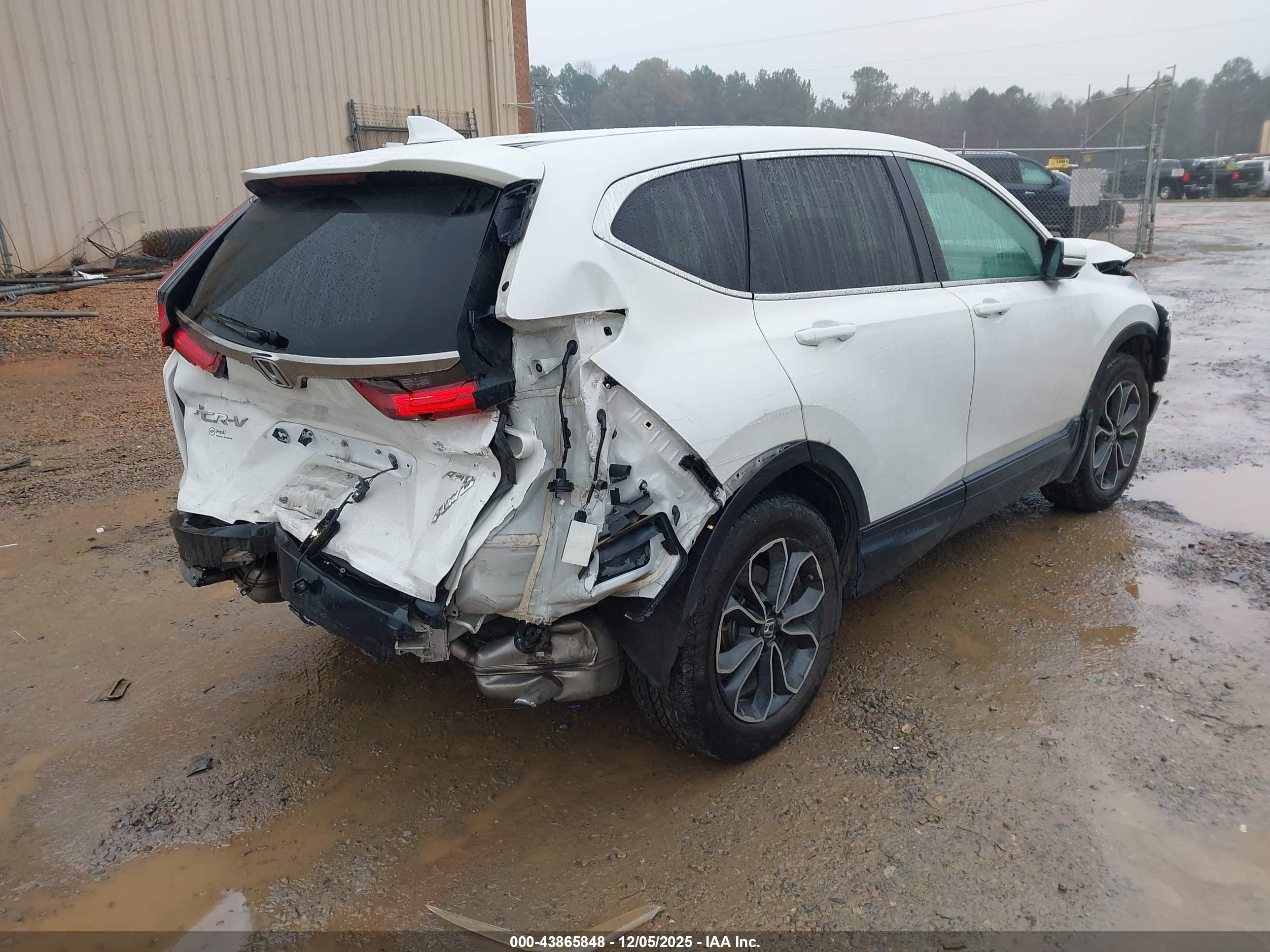 HONDA CR-V image 4