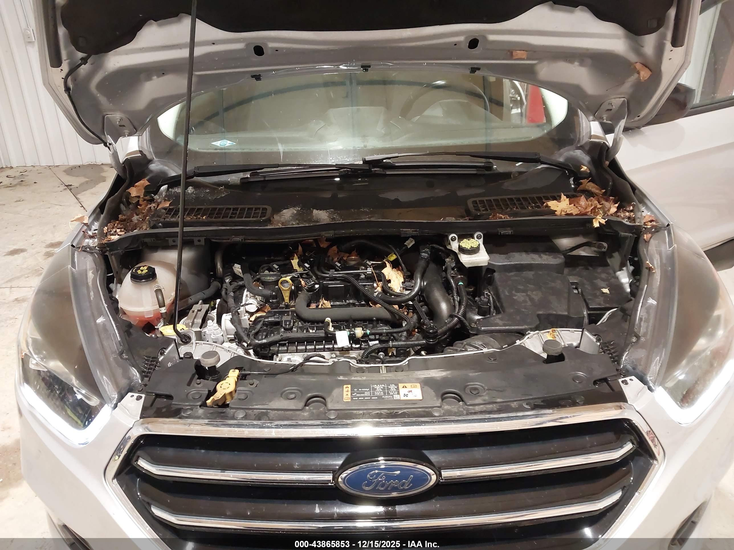 FORD ESCAPE image 10