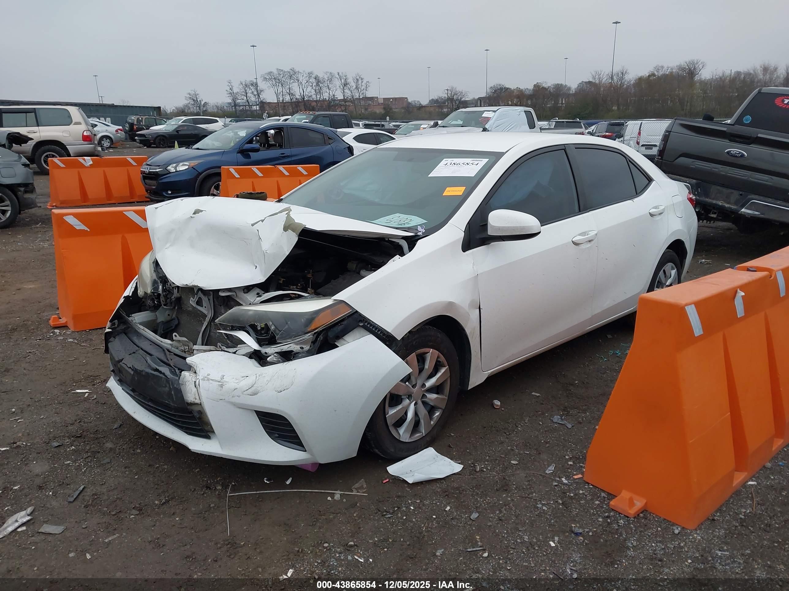 TOYOTA COROLLA image 2