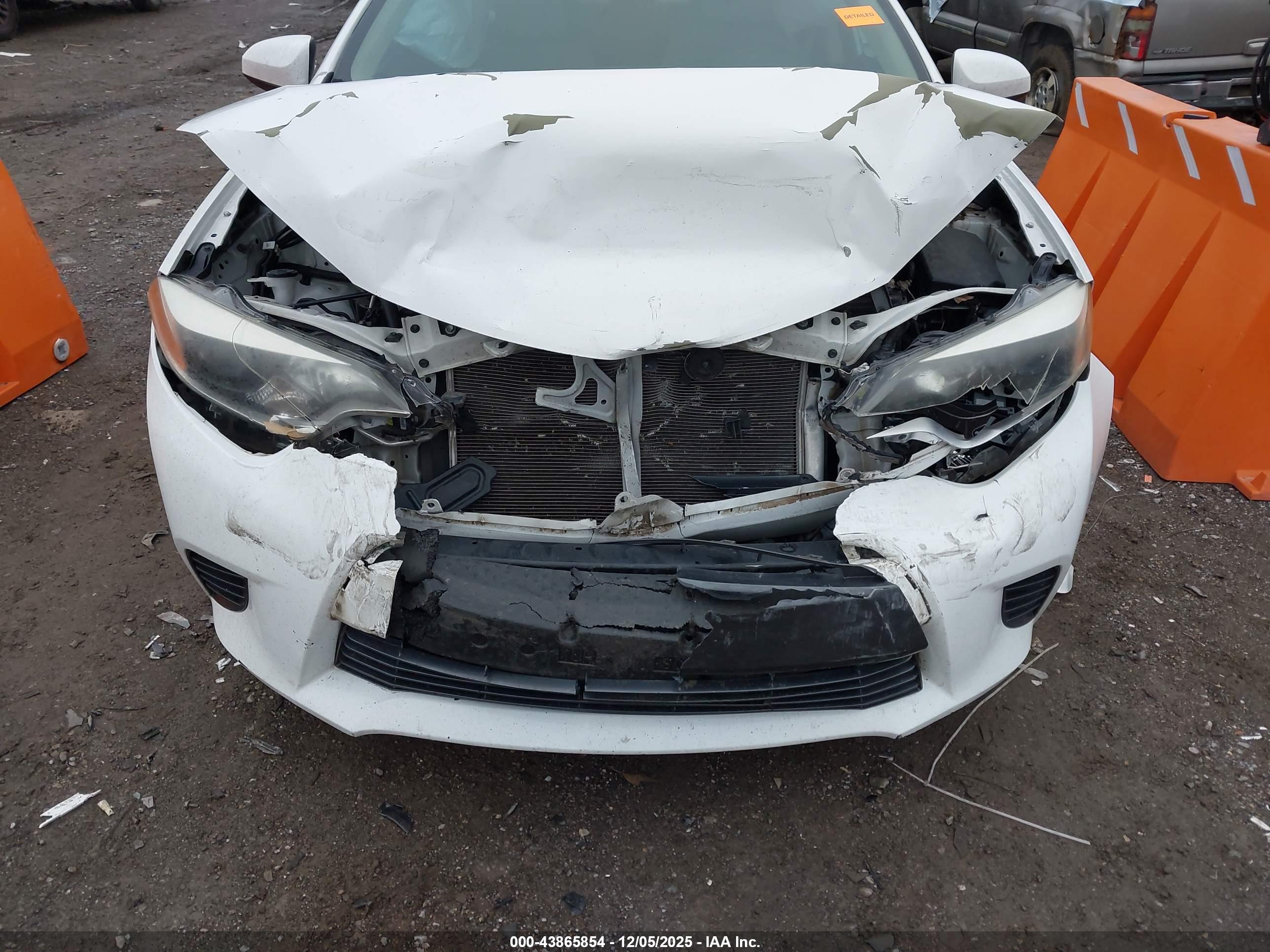 TOYOTA COROLLA image 6