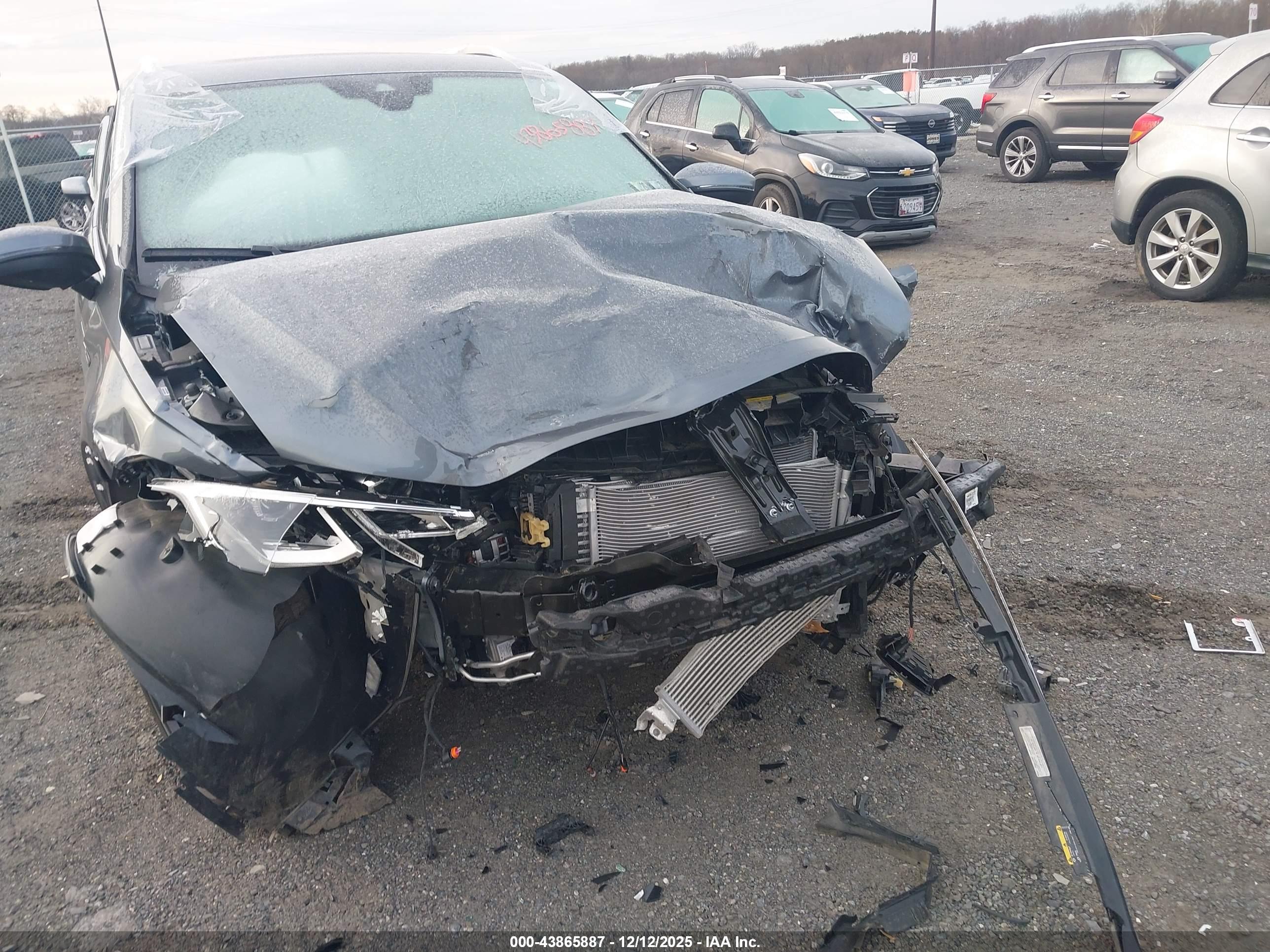 VOLKSWAGEN TIGUAN image 6
