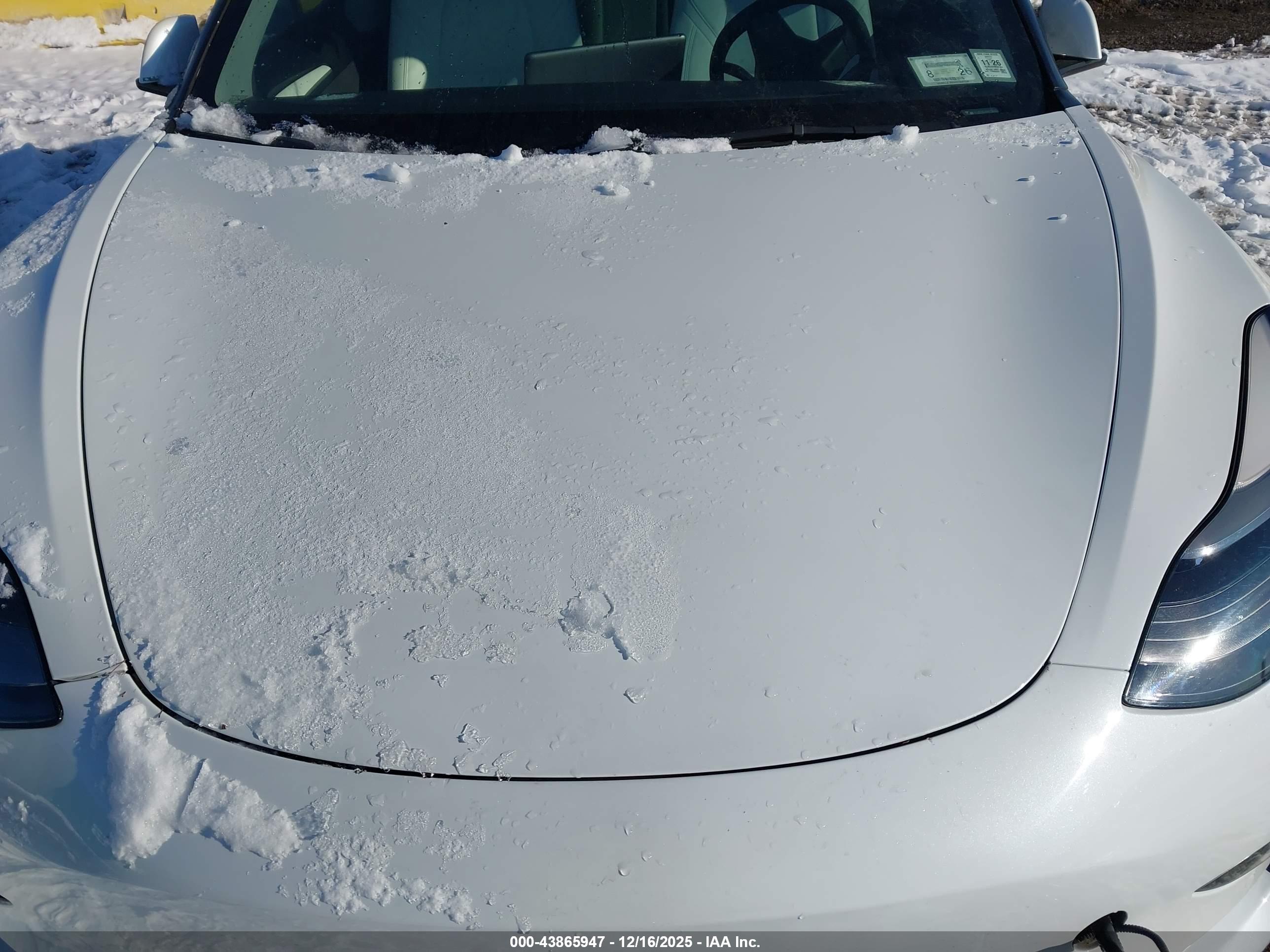 TESLA MODEL image 10
