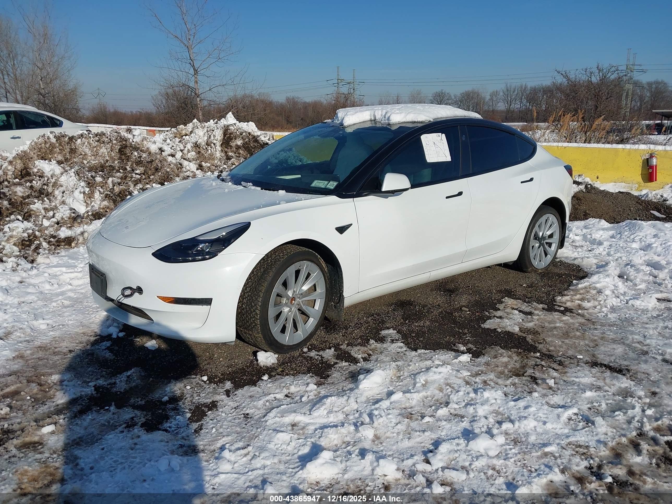 TESLA MODEL image 2