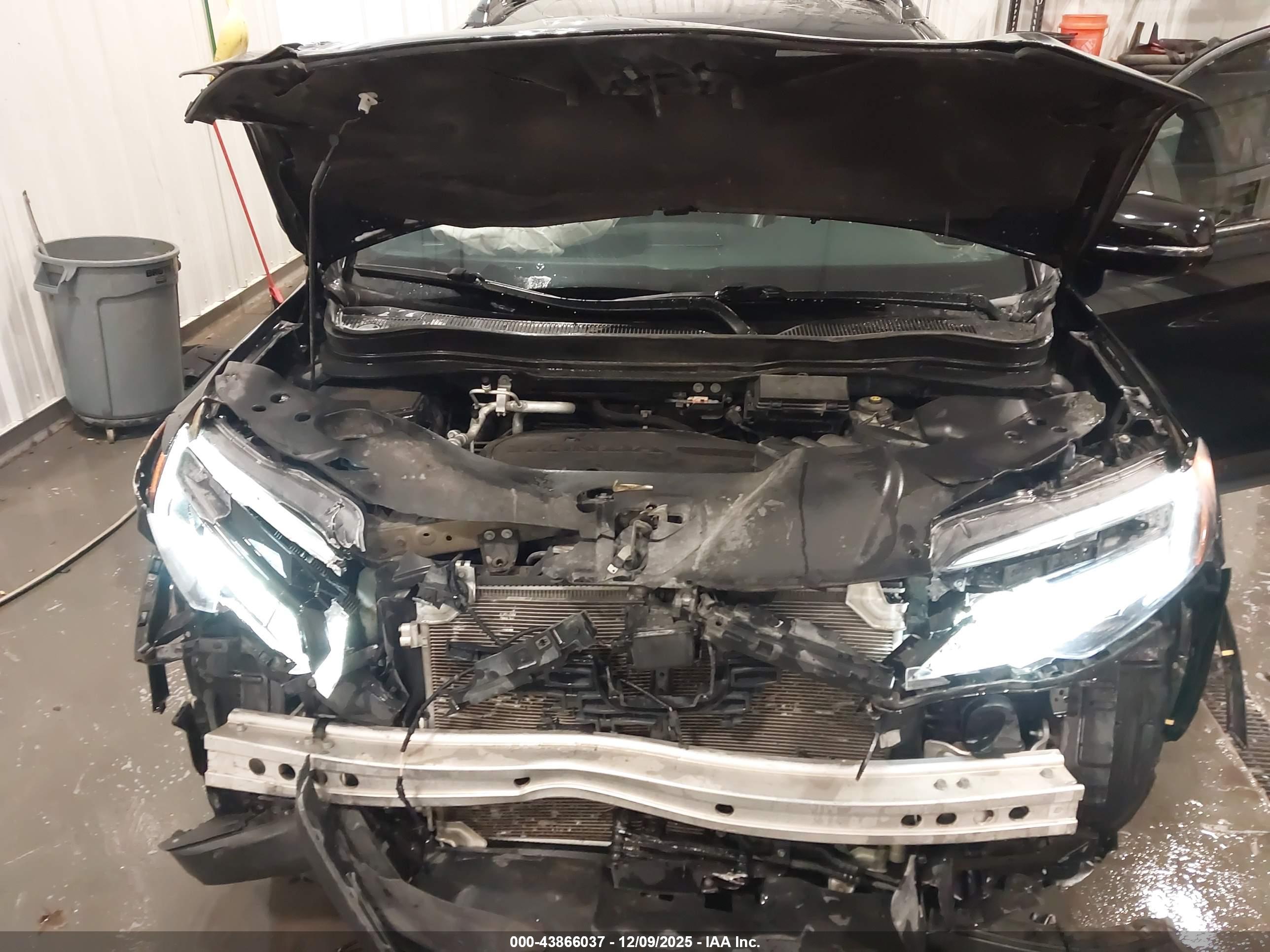 HONDA PASSPORT image 10