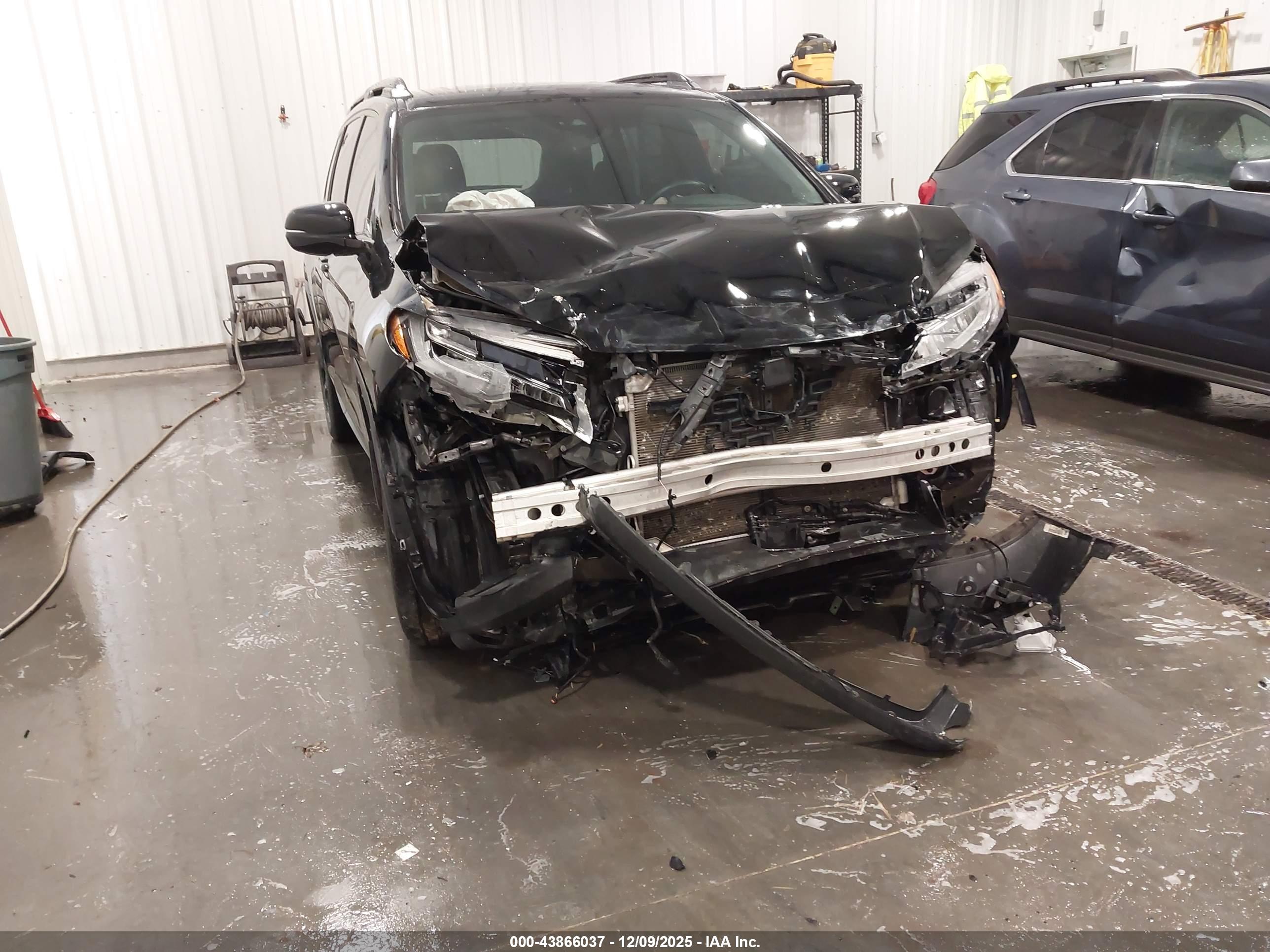 HONDA PASSPORT image 6