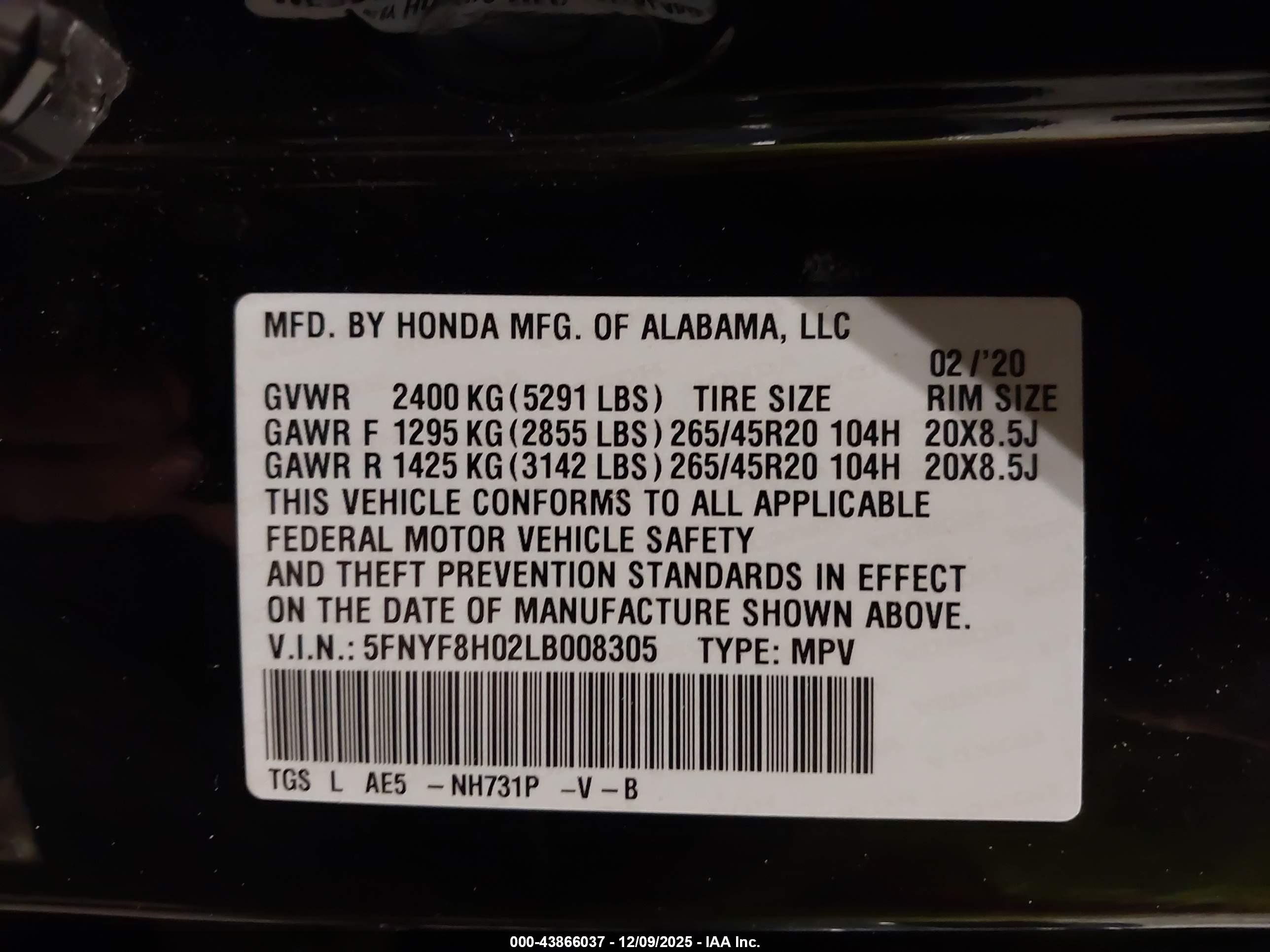 HONDA PASSPORT image 9