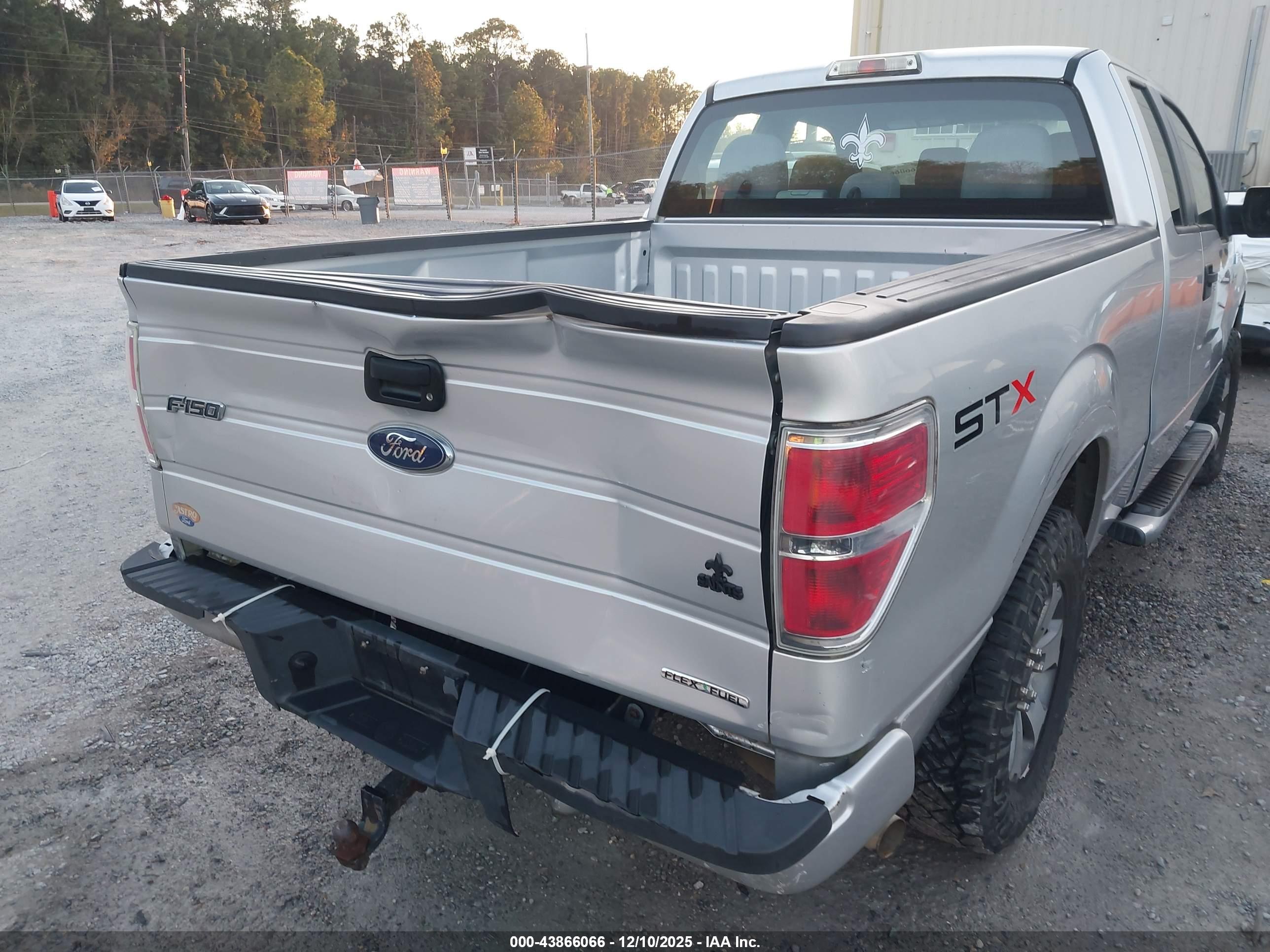 FORD F-150 image 6