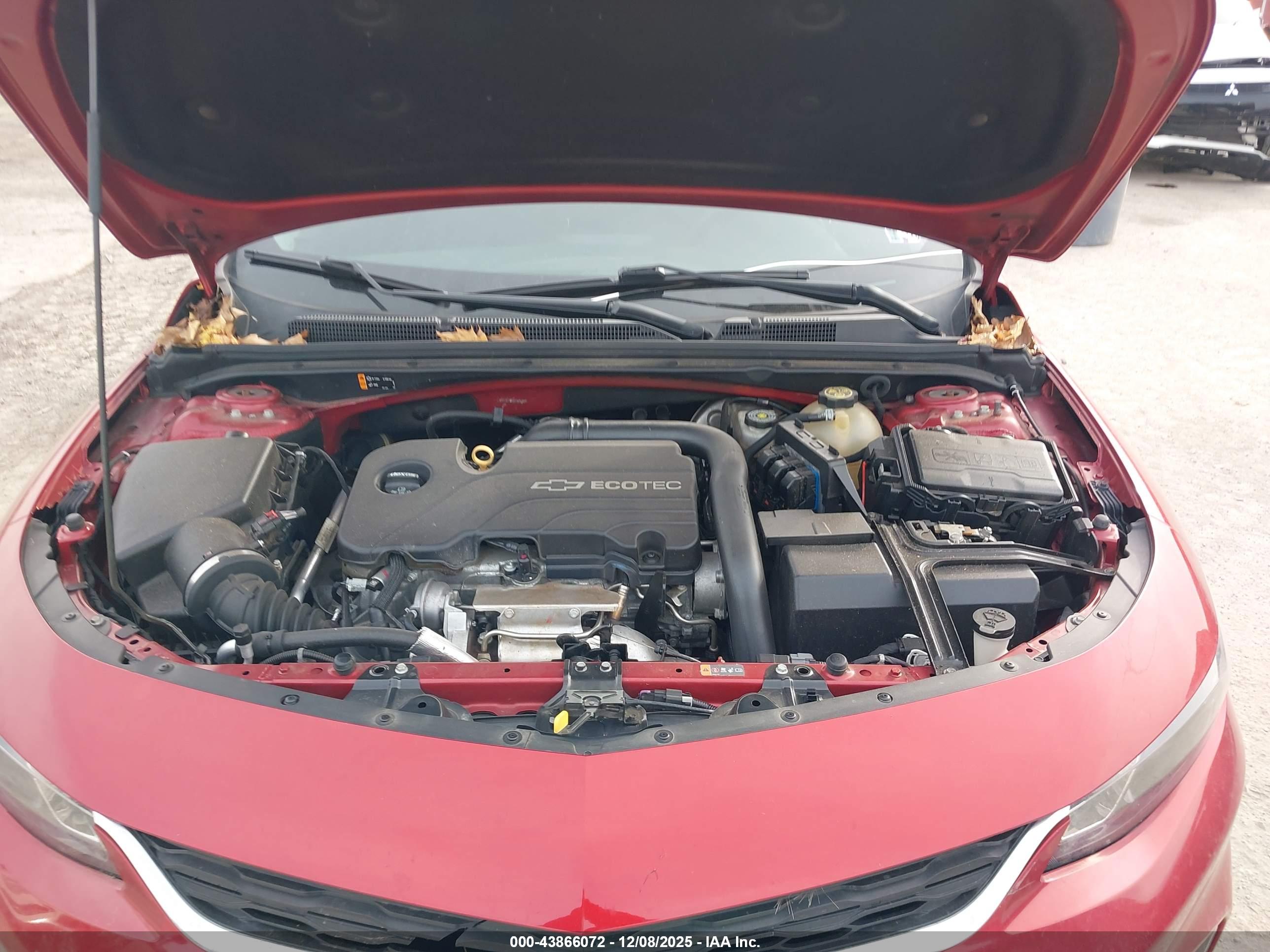 CHEVROLET MALIBU image 10