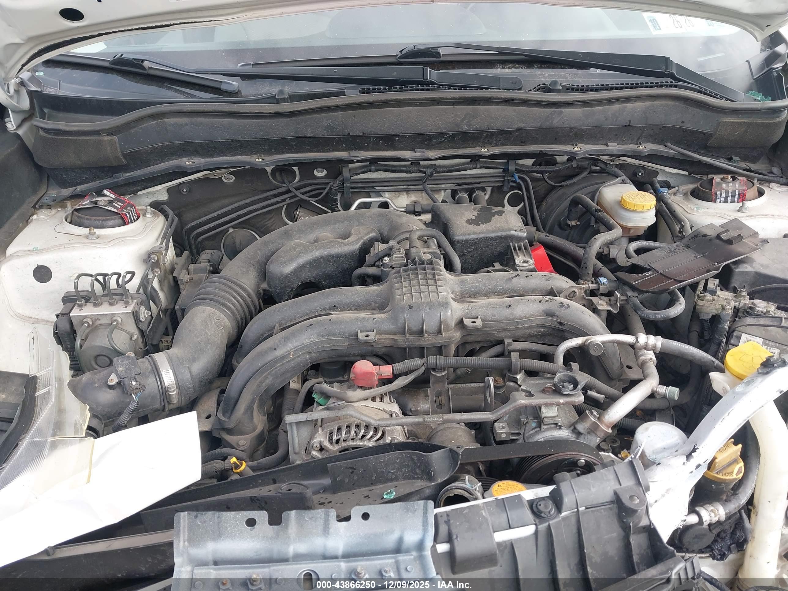SUBARU FORESTER image 10